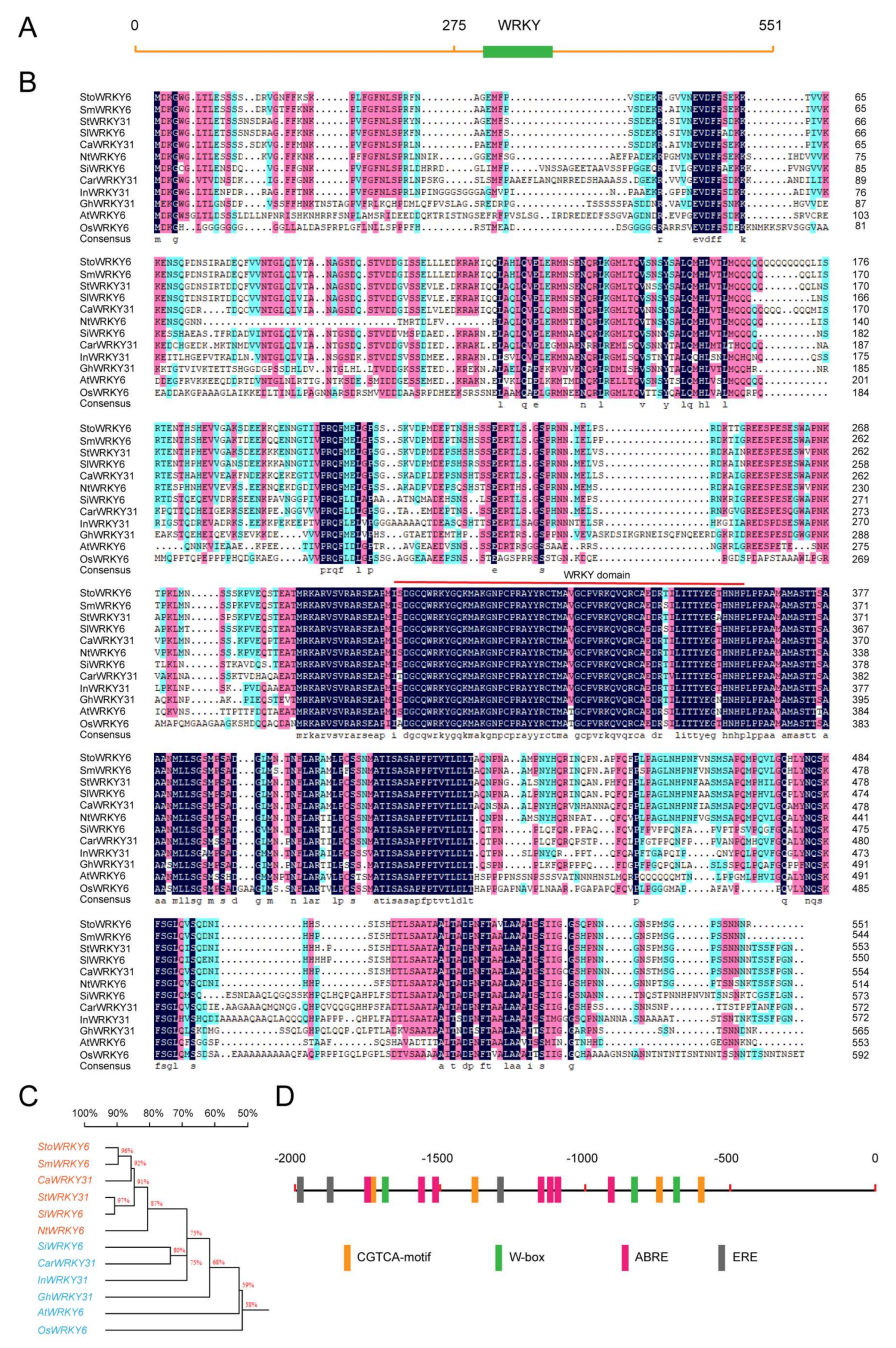 Agronomy 12 01977 g001 550