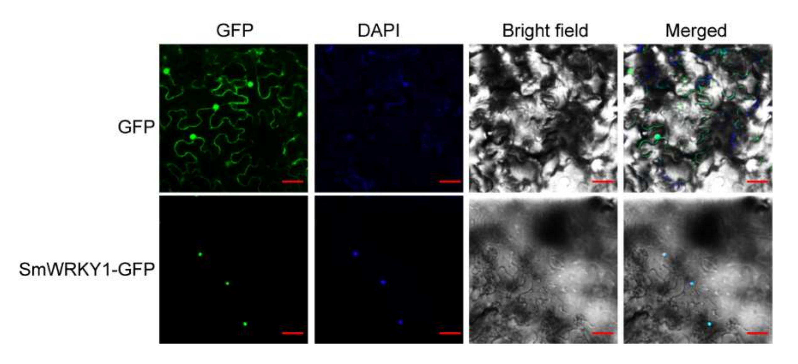 Agronomy 12 01977 g002 550