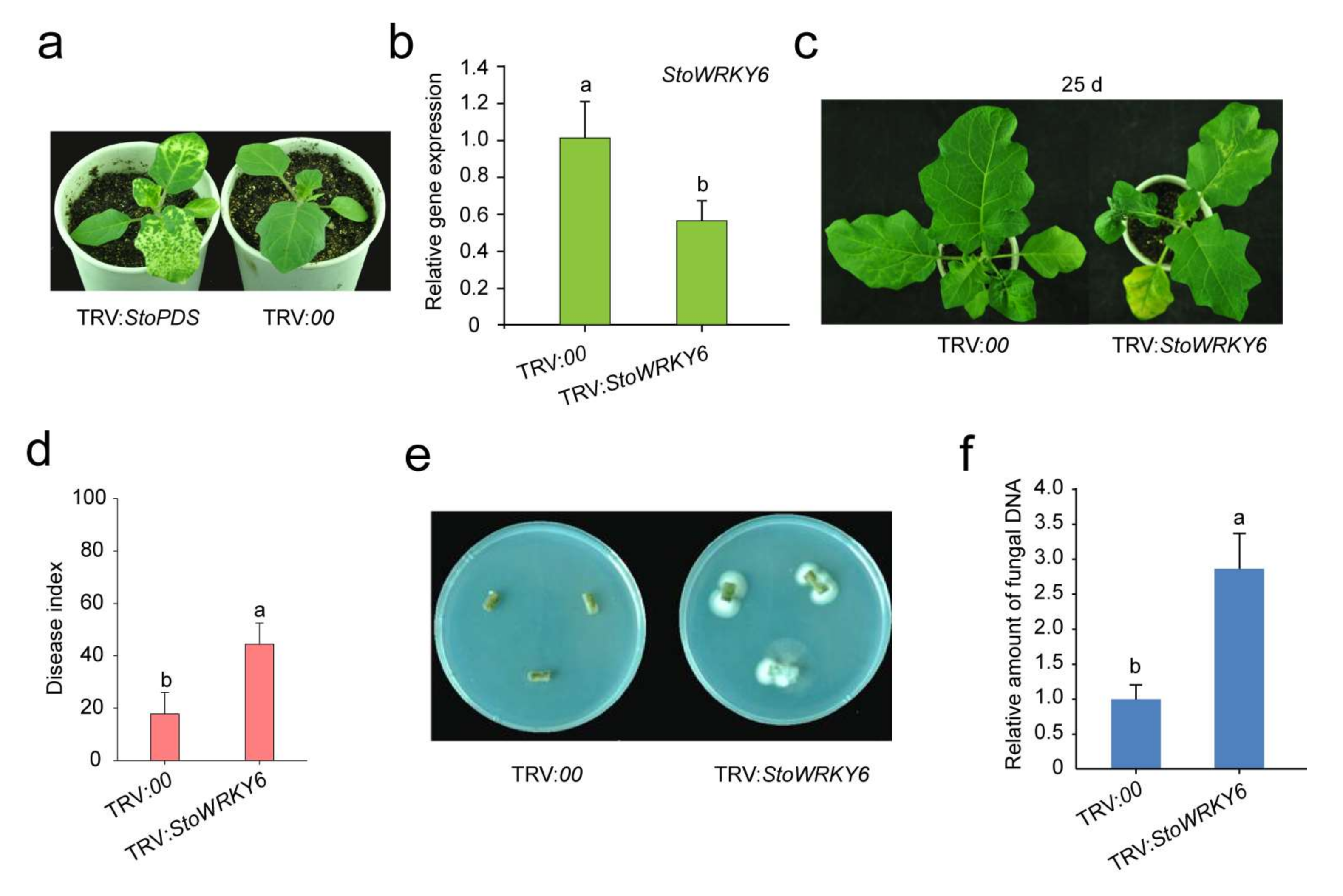 Agronomy 12 01977 g004 550