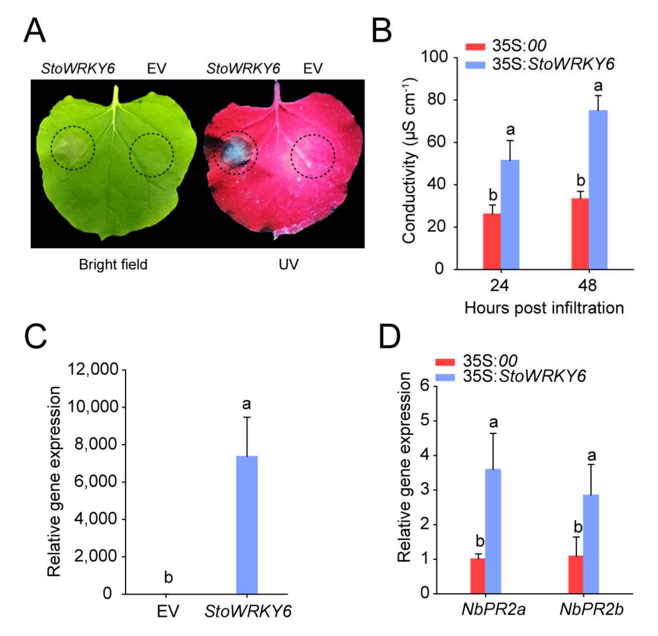 Agronomy 12 01977 g005 550
