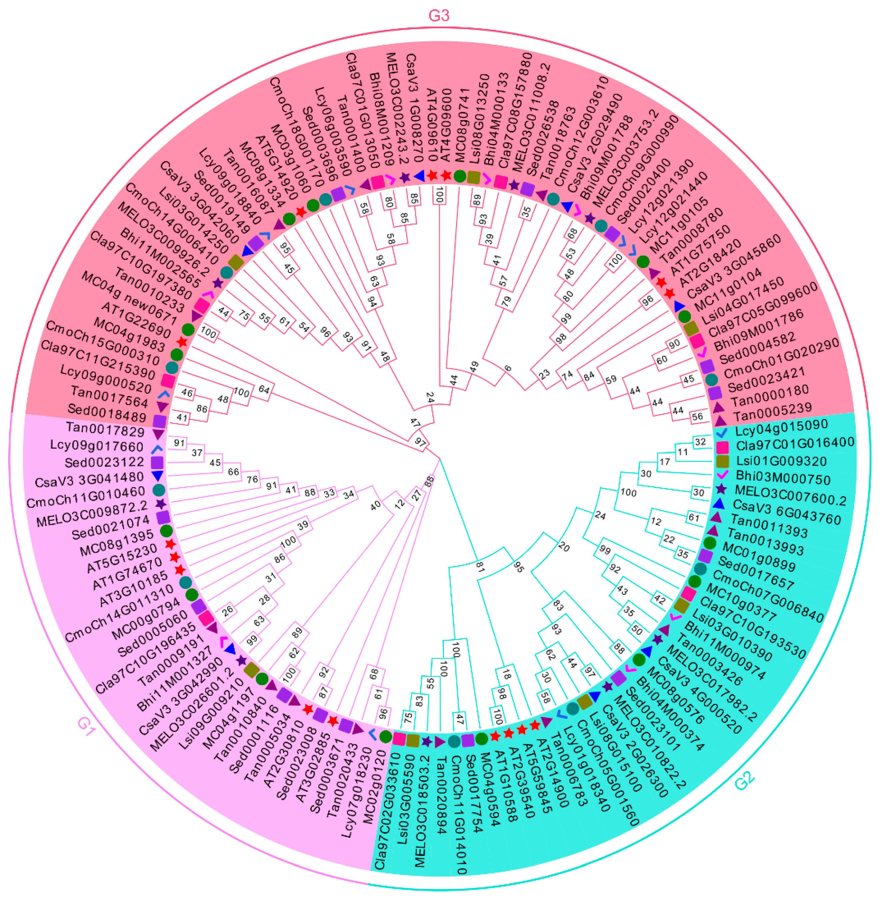 Agronomy 12 01978 g001 550