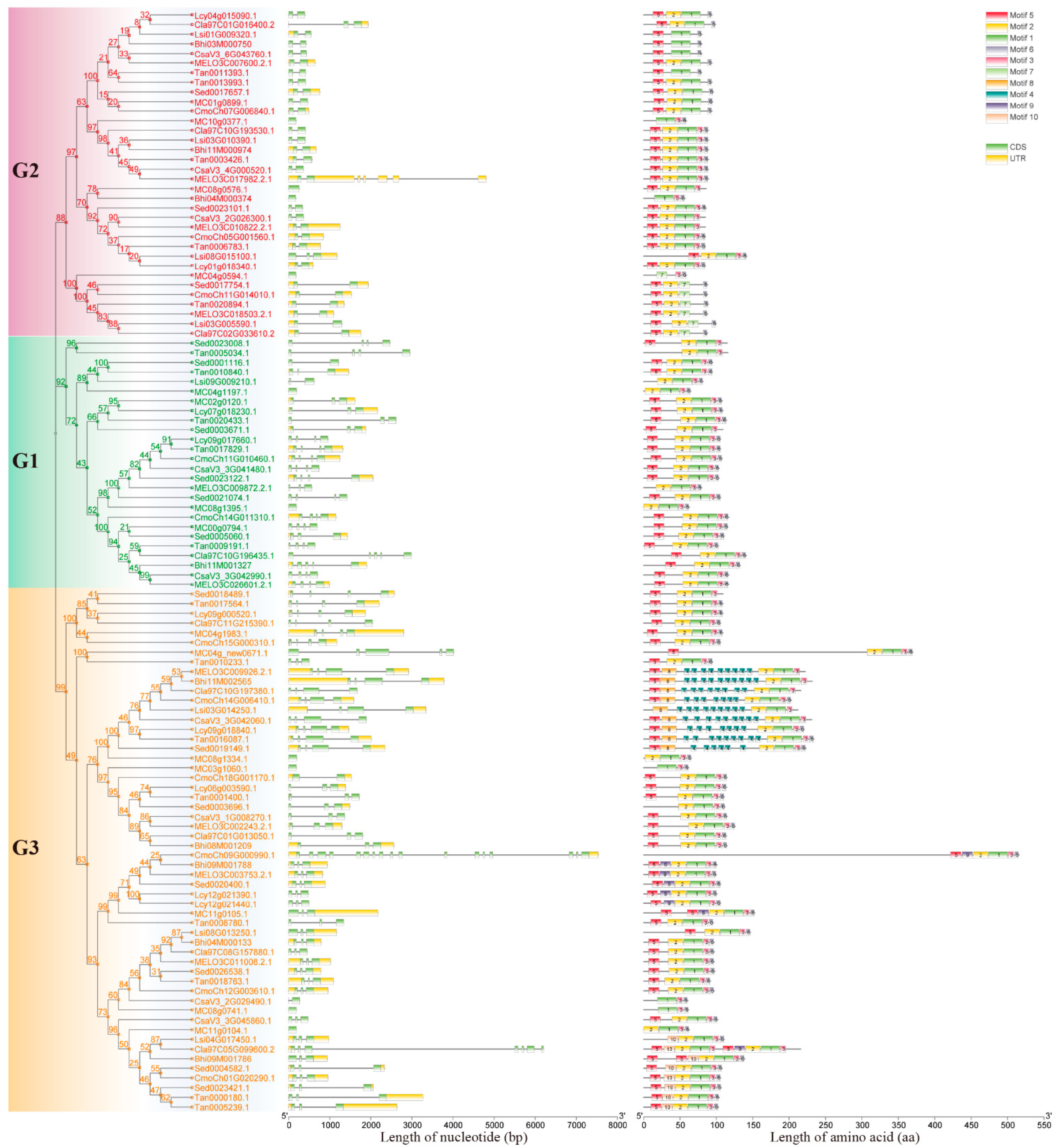 Agronomy 12 01978 g002 550