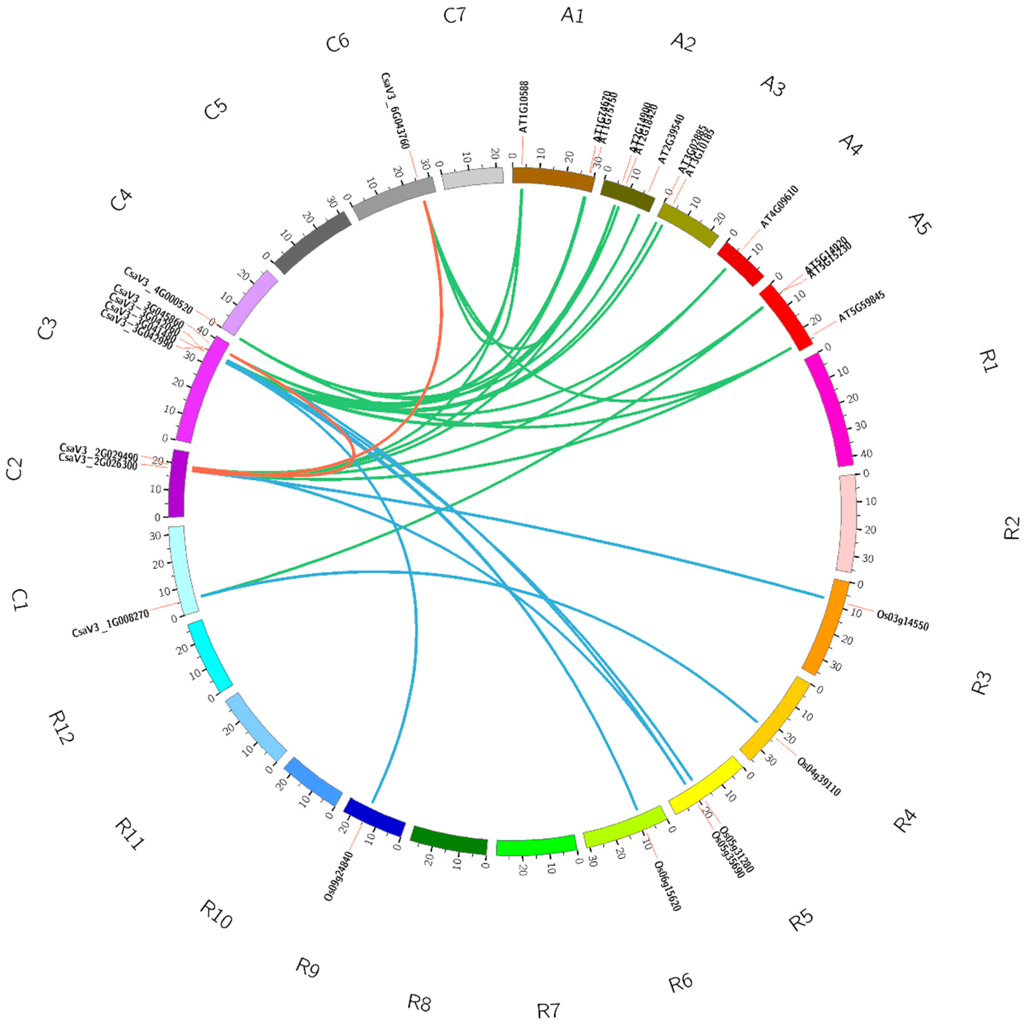 Agronomy 12 01978 g003 550