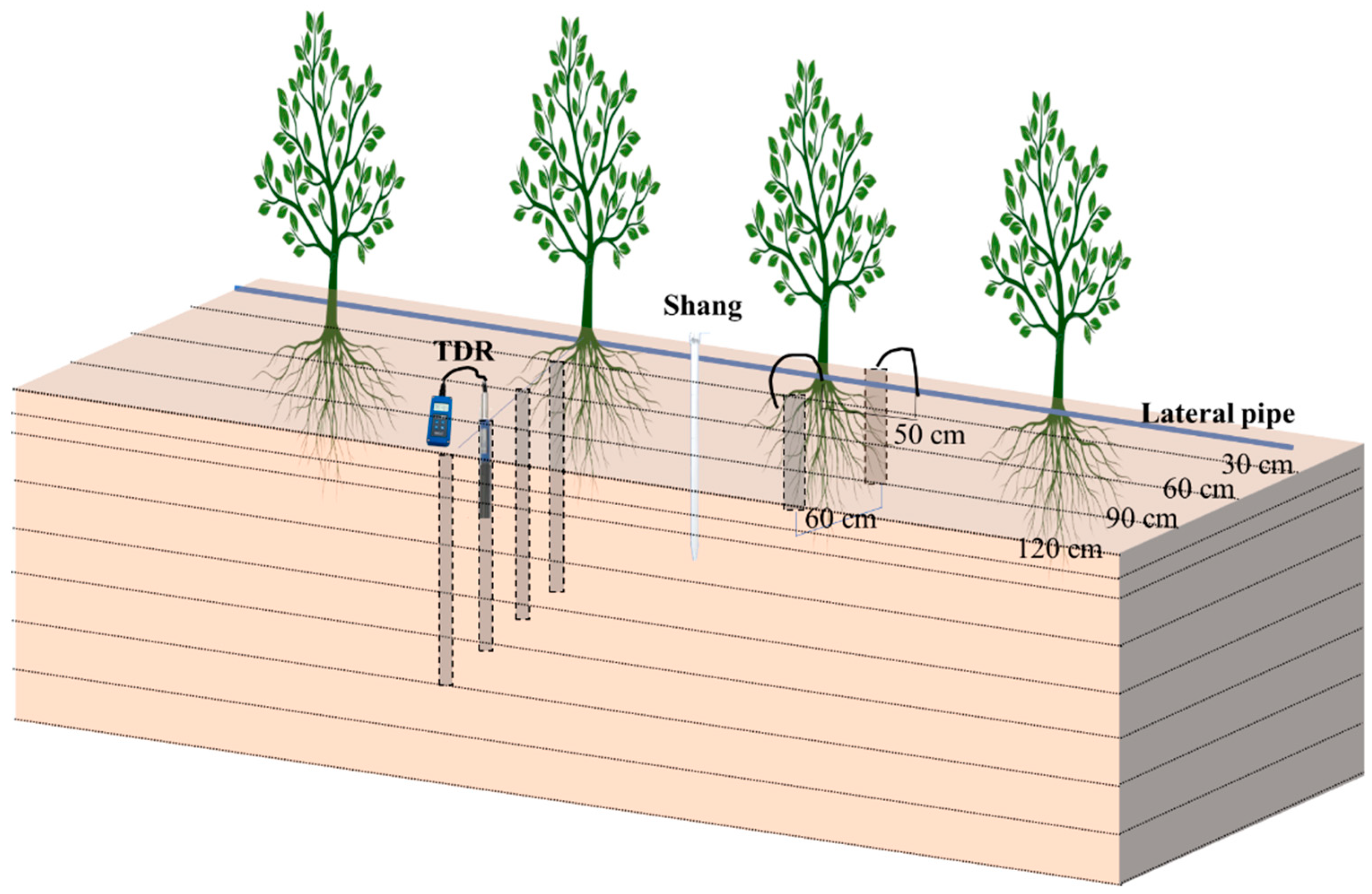 Agronomy 12 01980 g004 550