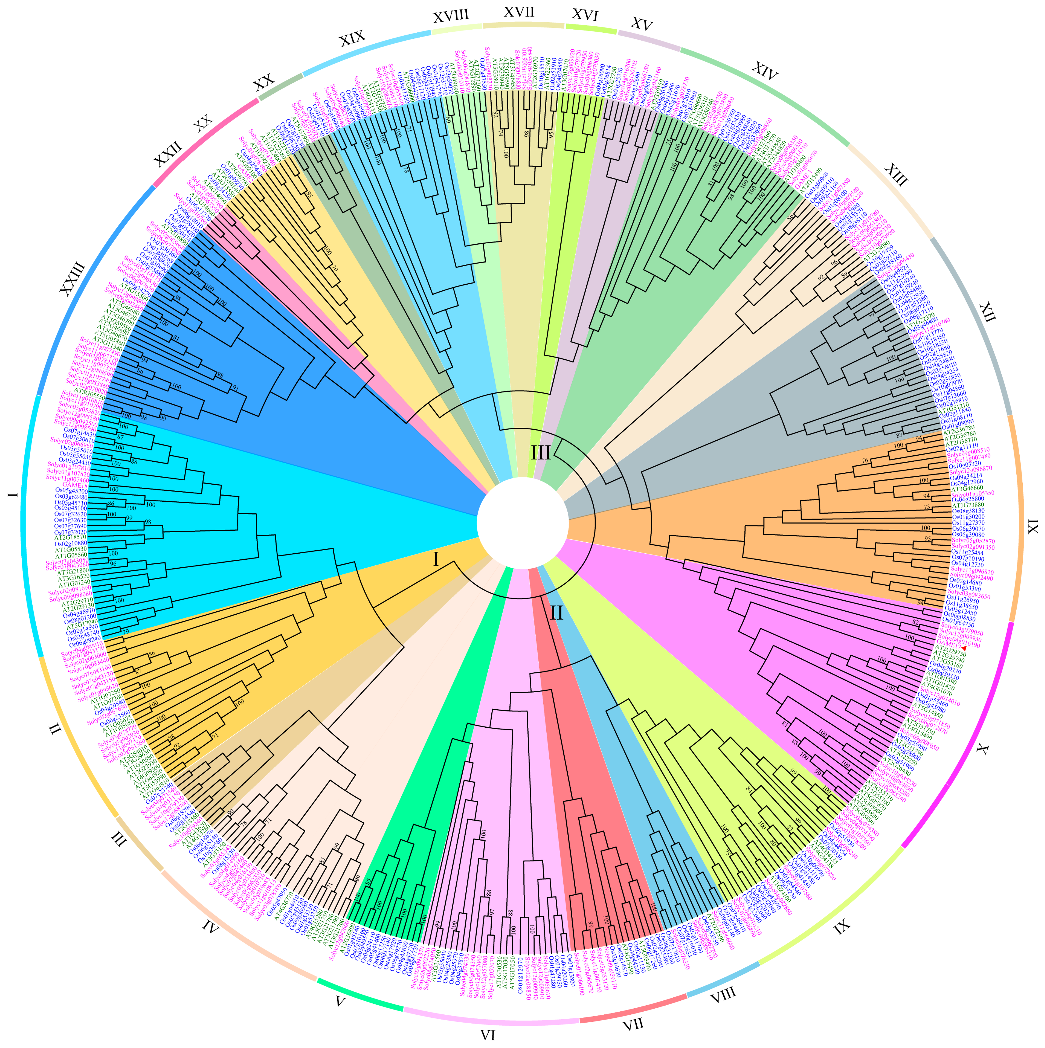 Agronomy 12 01998 g002