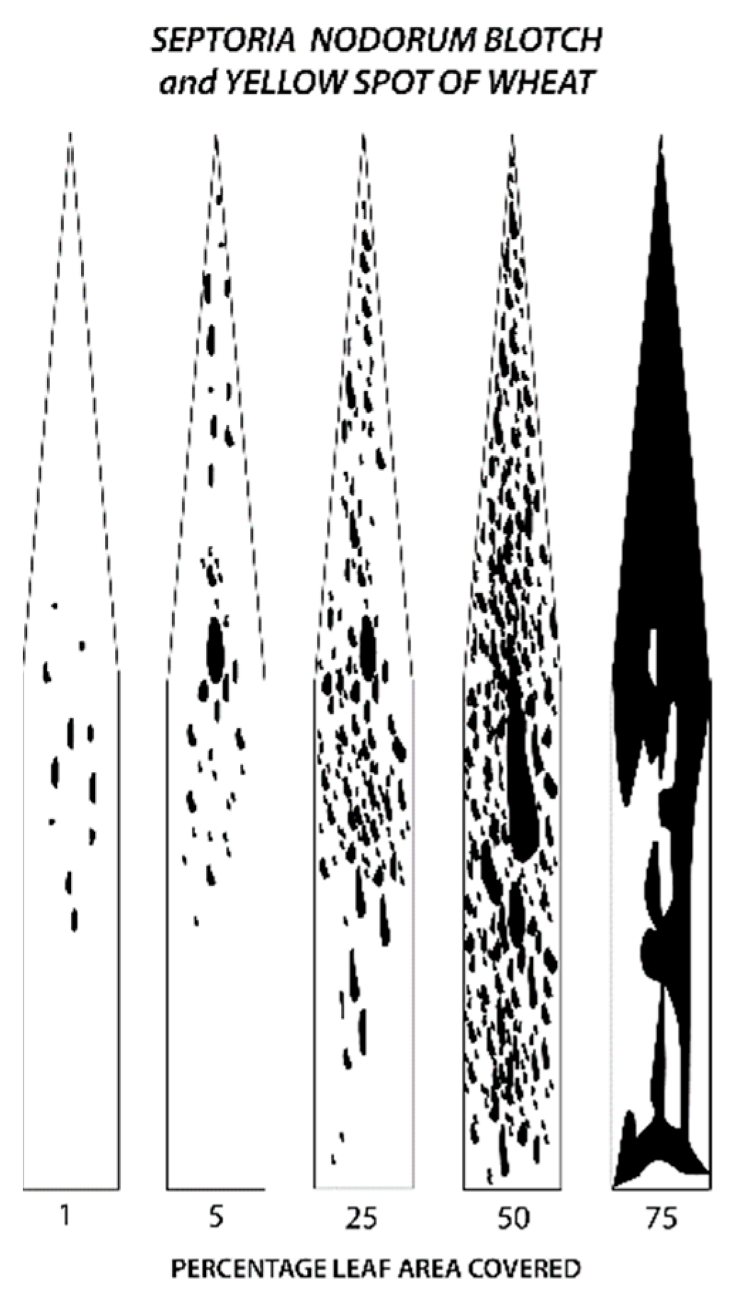 Agronomy 12 02000 g002 Agronomy 12 02000 g002