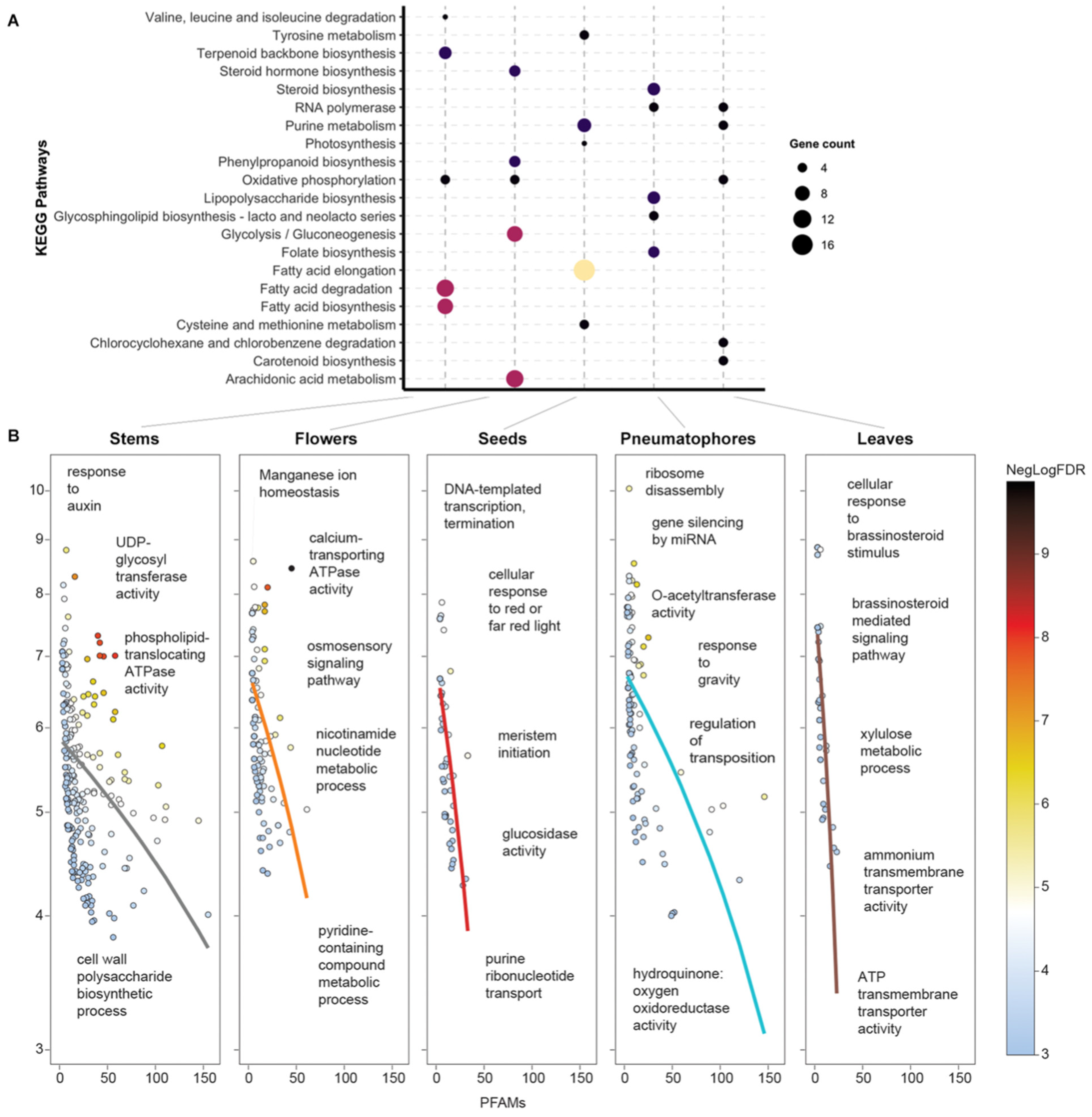 Agronomy 12 02030 g003