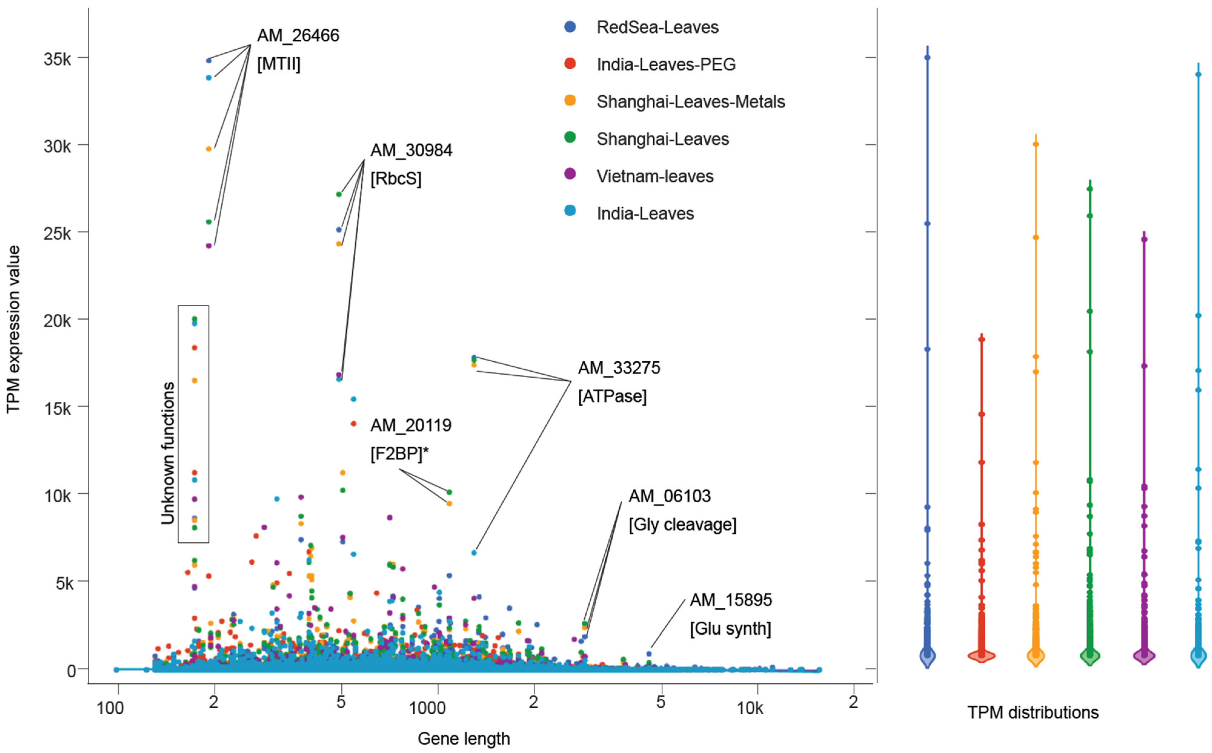 Agronomy 12 02030 g005