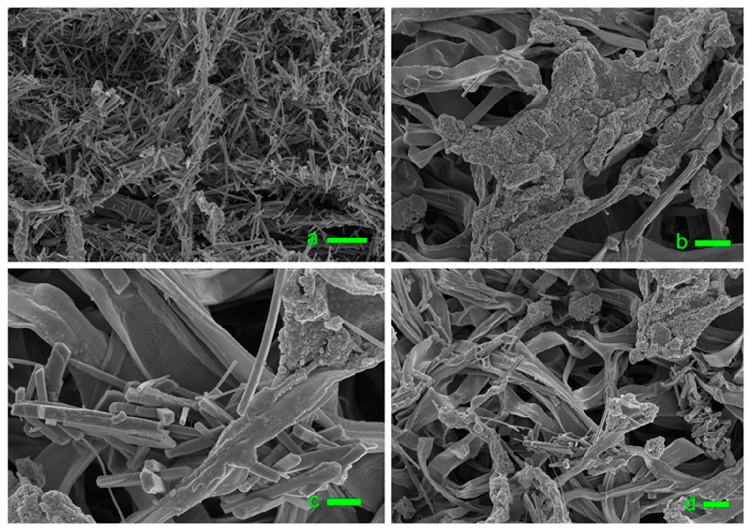 Agronomy 12 02034 g003 550