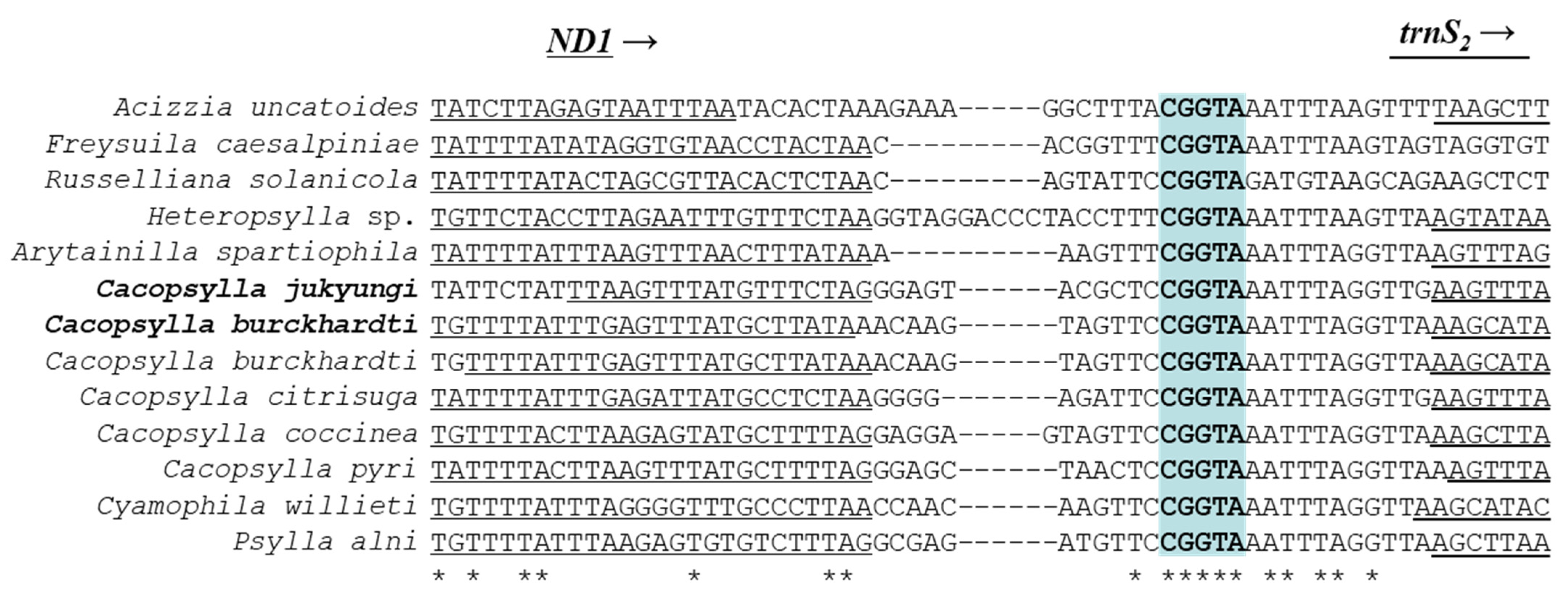 Agronomy 12 02037 g001 Agronomy 12 02037 g001
