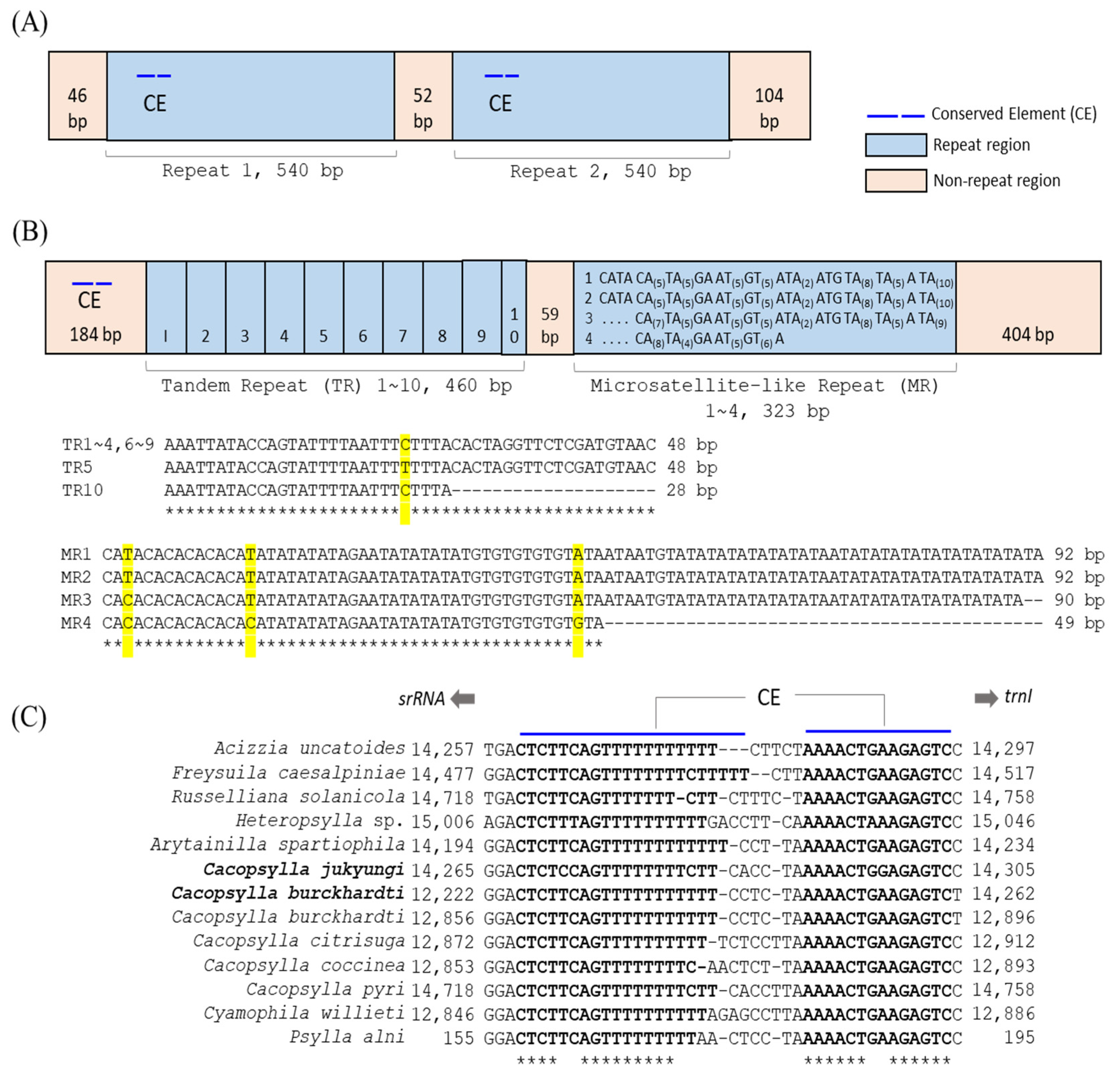 Agronomy 12 02037 g002 Agronomy 12 02037 g002
