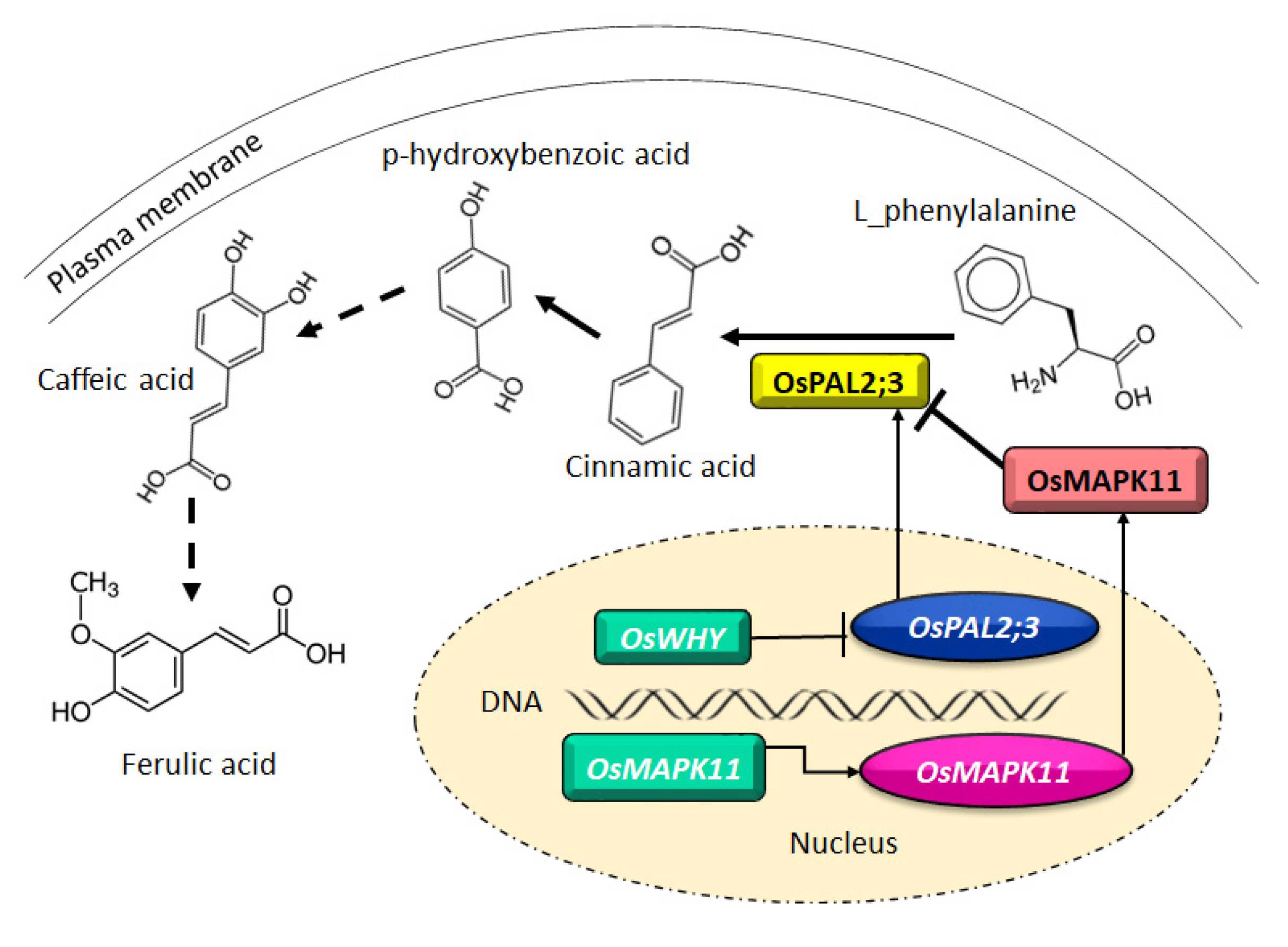 Agronomy 12 02043 g002