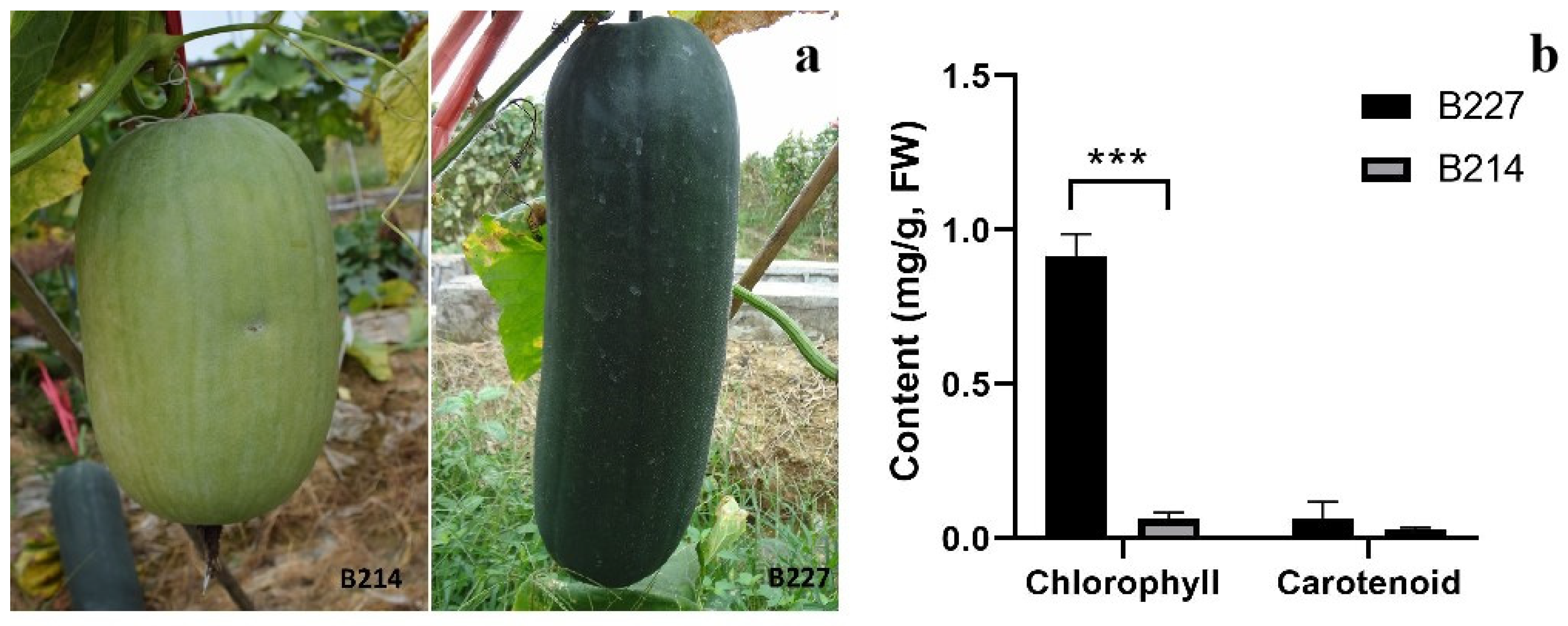 Agronomy 12 02045 g001