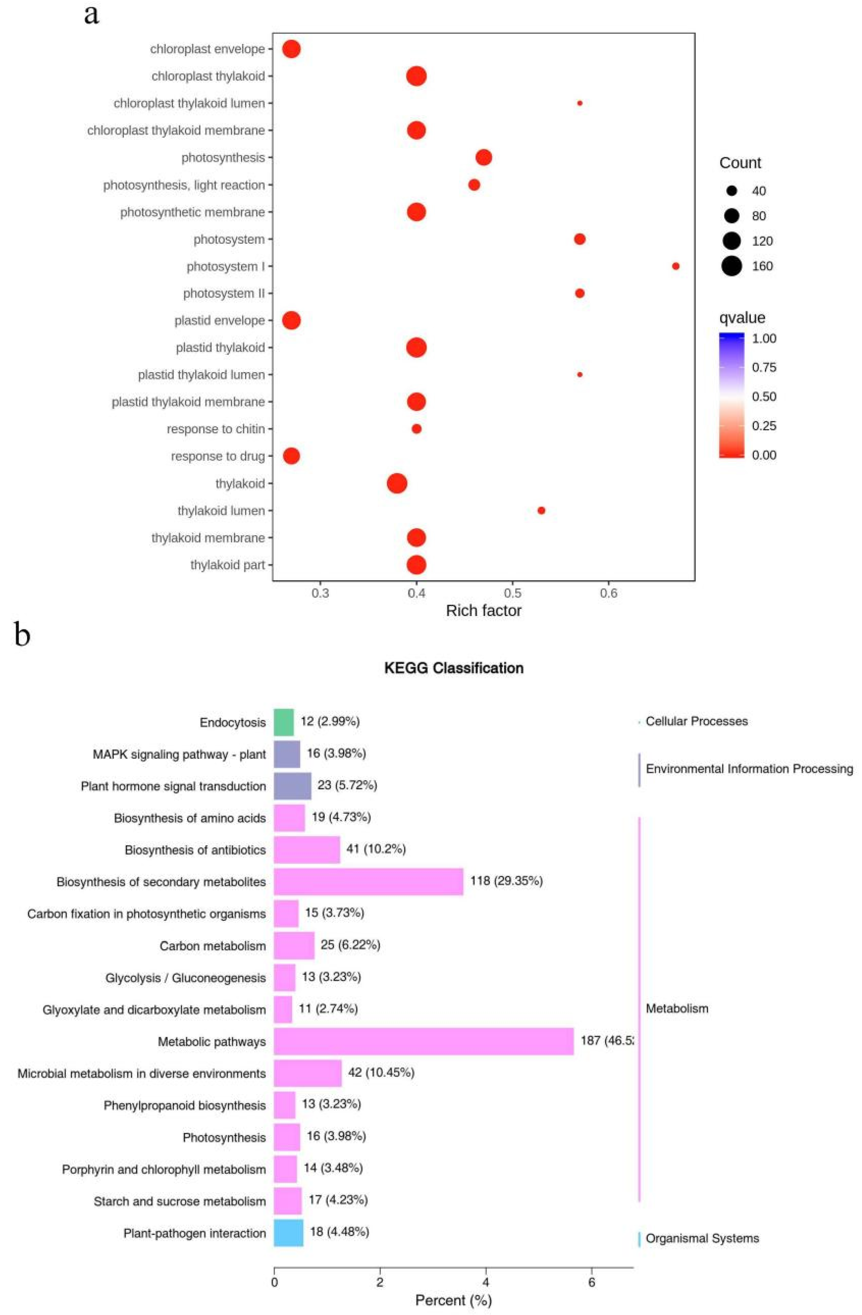 Agronomy 12 02045 g004