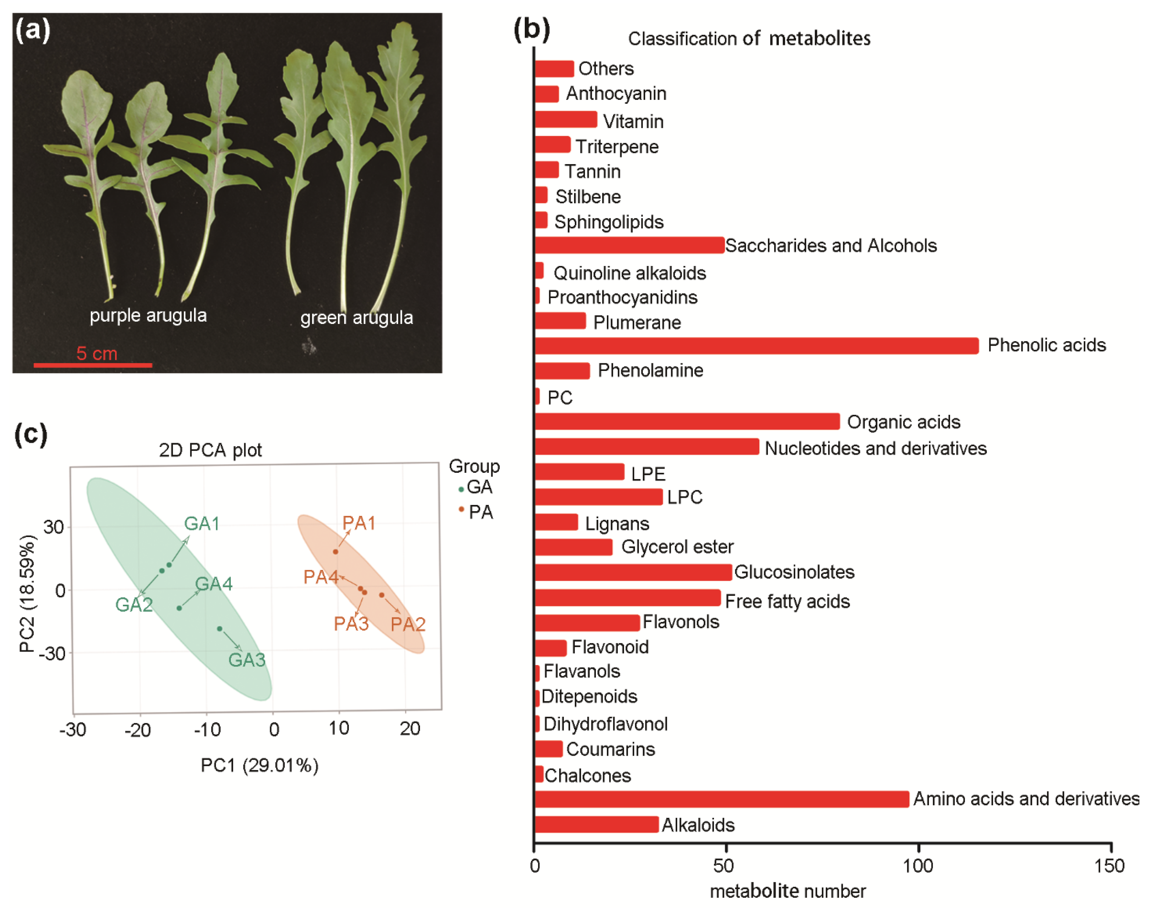 Agronomy 12 02046 g001 550