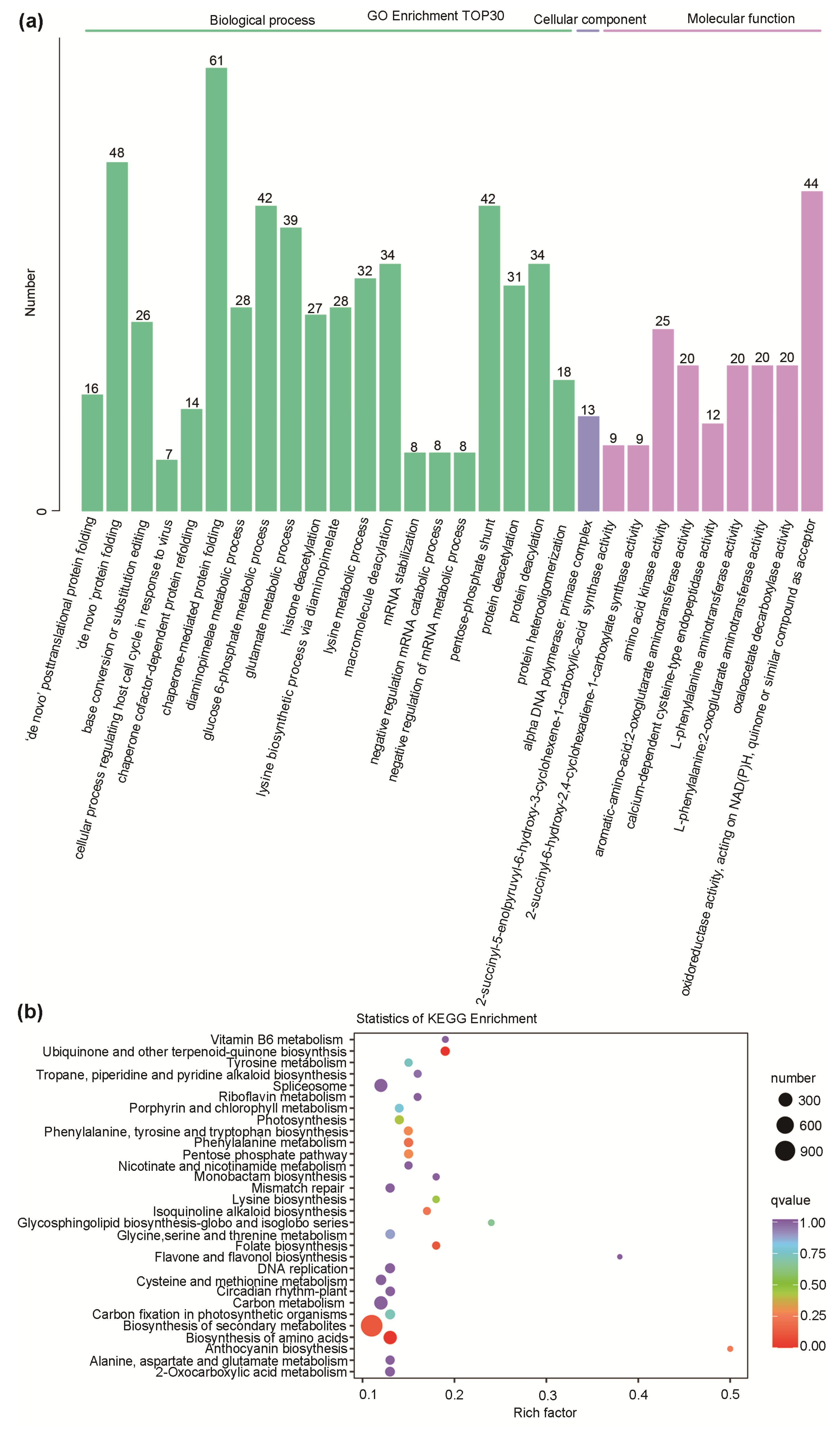 Agronomy 12 02046 g004 550