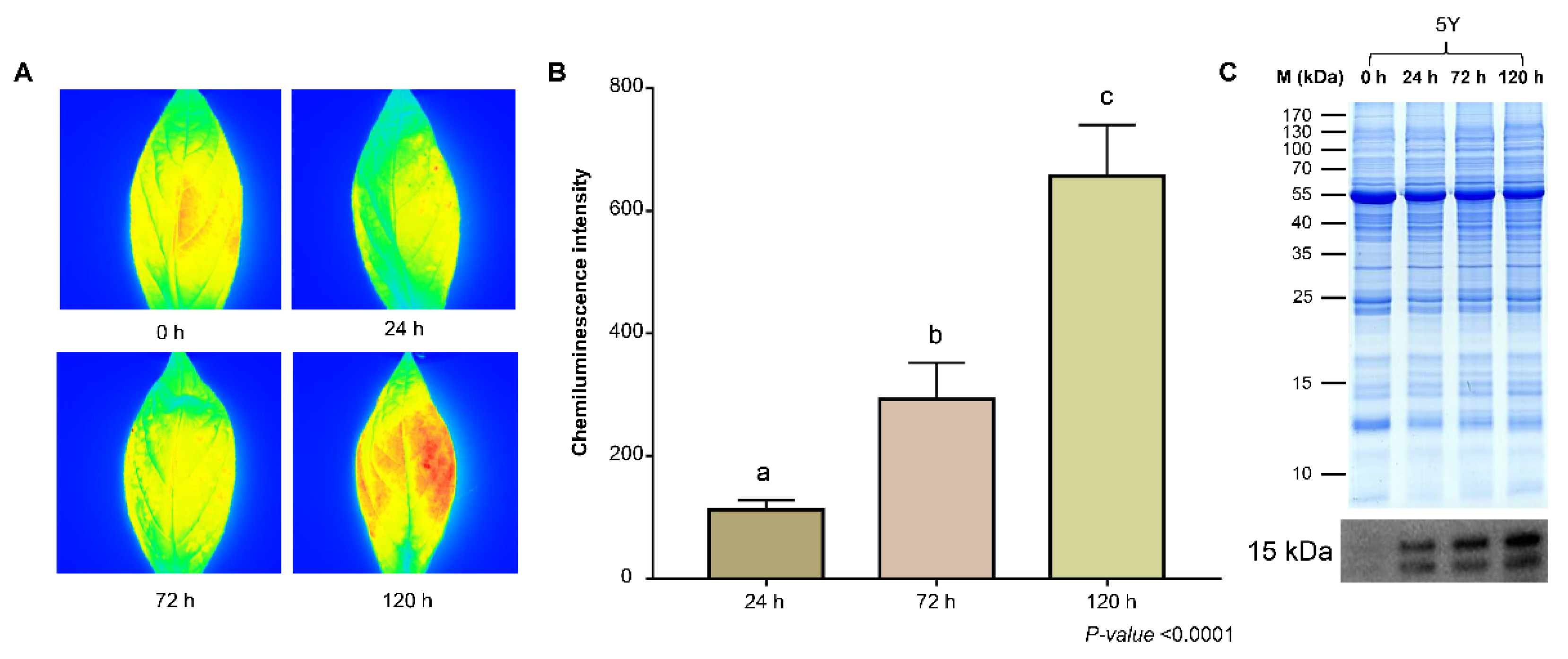 Agronomy 12 02048 g001 Agronomy 12 02048 g001