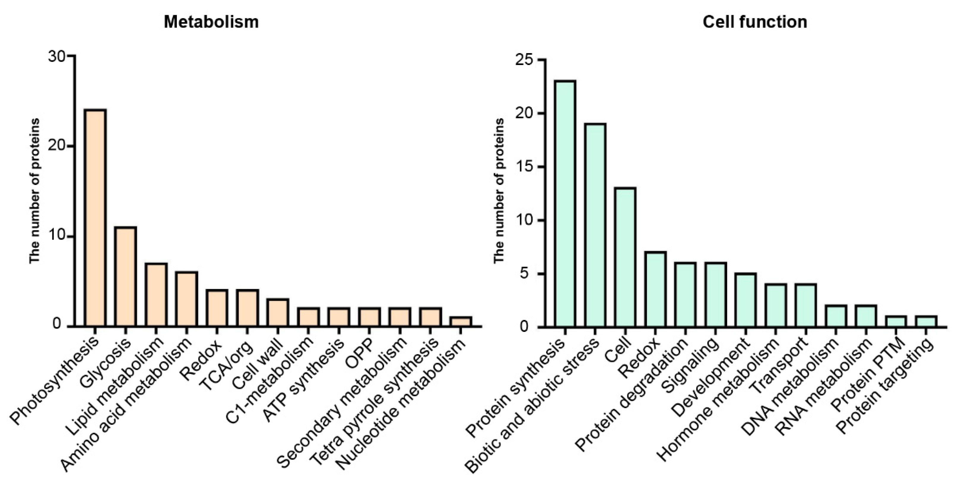 Agronomy 12 02048 g004 Agronomy 12 02048 g004