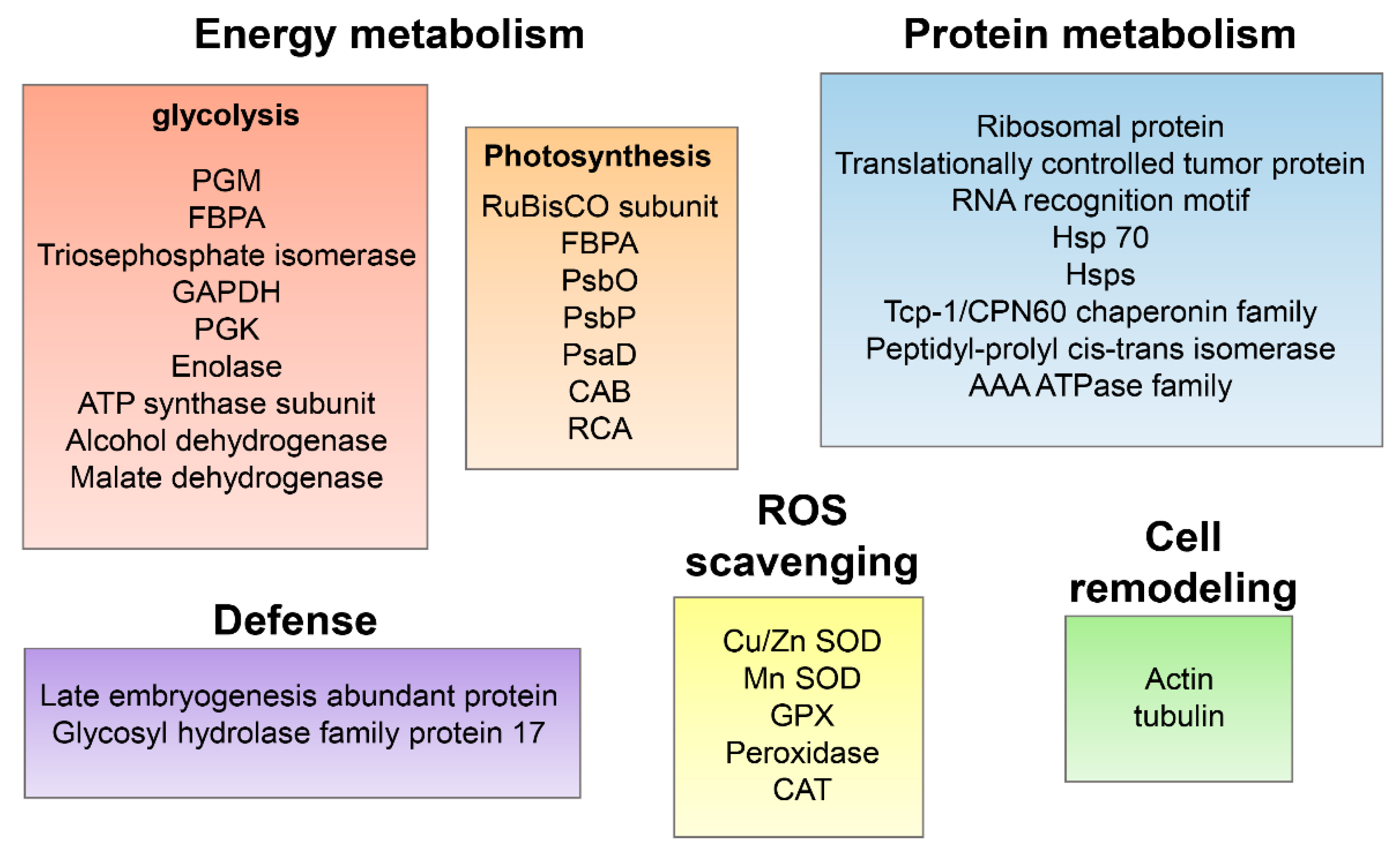 Agronomy 12 02048 g005 Agronomy 12 02048 g005