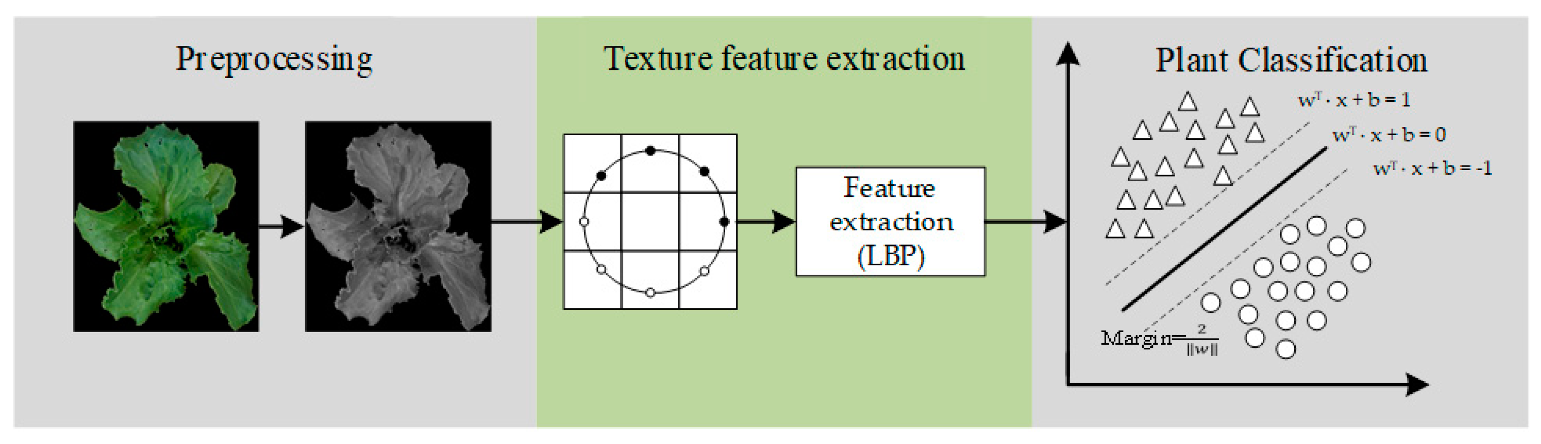 Agronomy 12 02061 g002