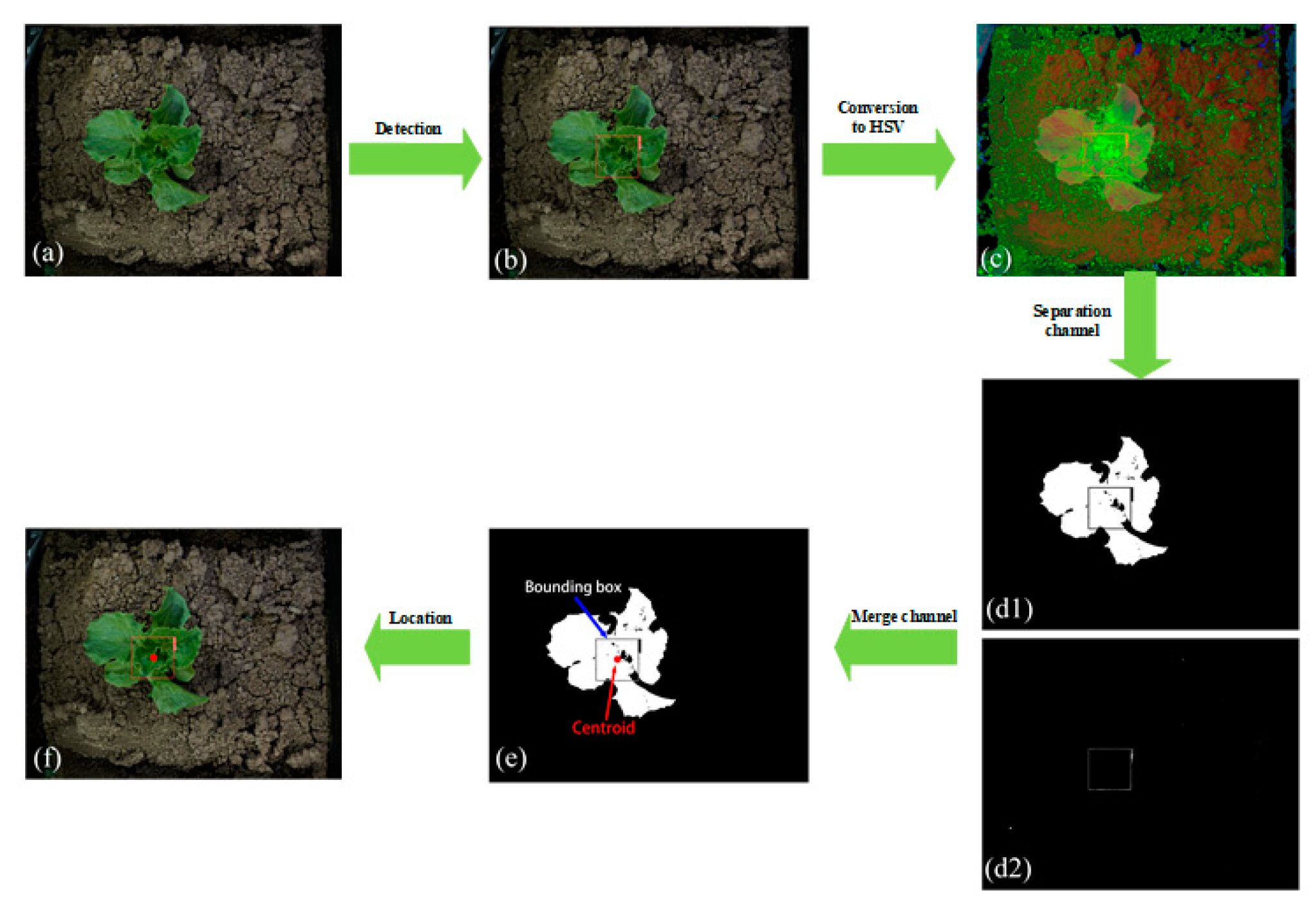 Agronomy 12 02061 g007