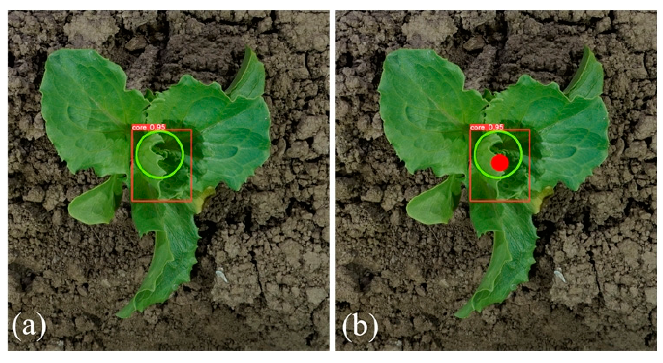 Agronomy 12 02061 g012