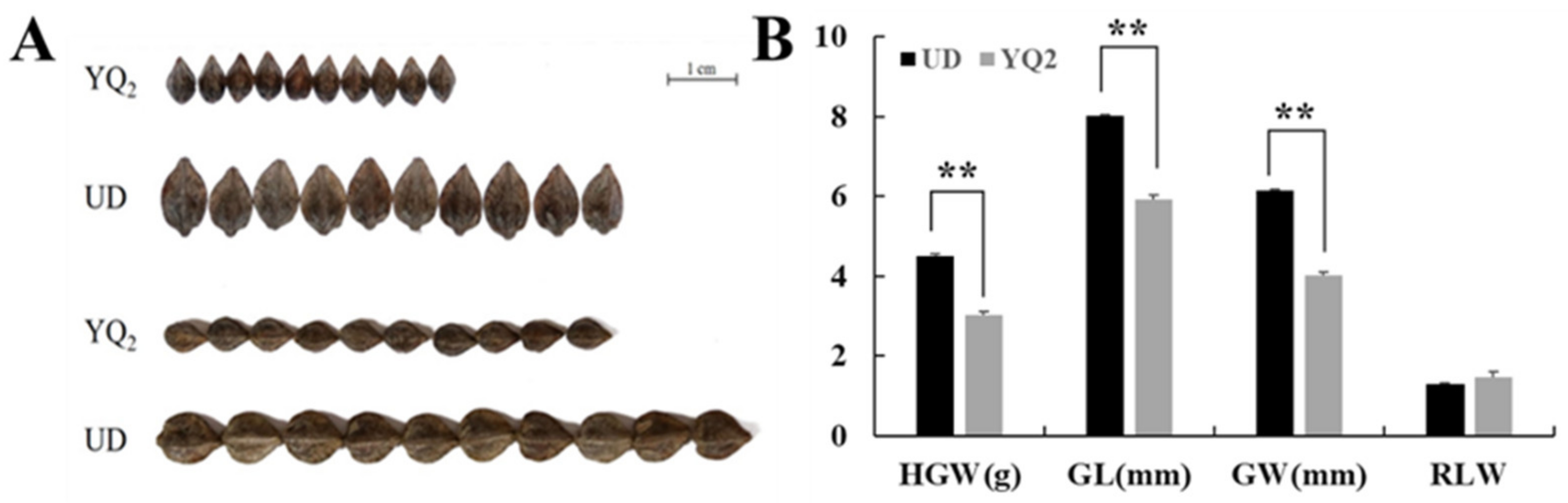 Agronomy 12 02062 g001 Agronomy 12 02062 g001