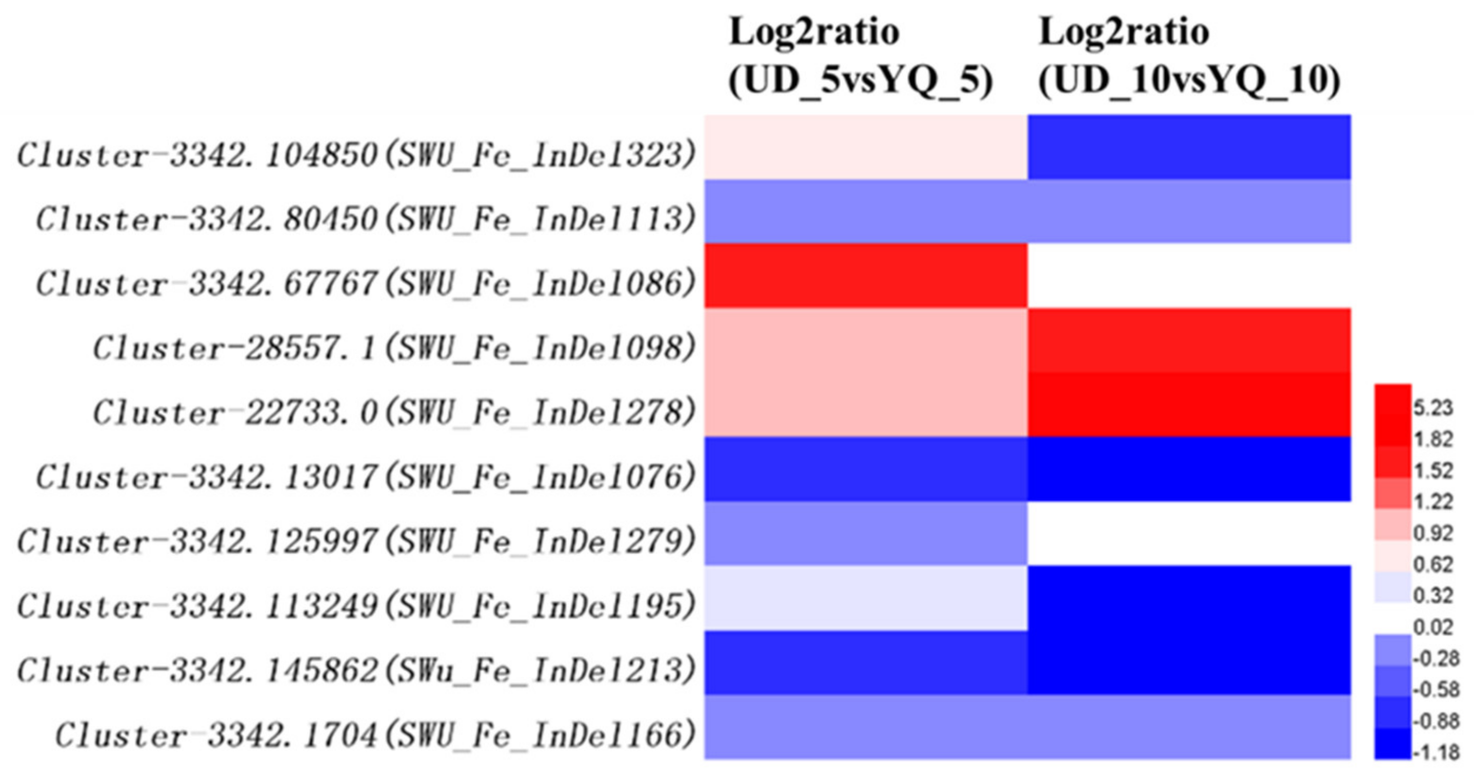 Genetic Map Construction, QTL Mapping, and Candidate Genes