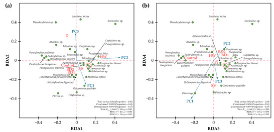 The Short-Term Effects of Amendments on Nematode Communities