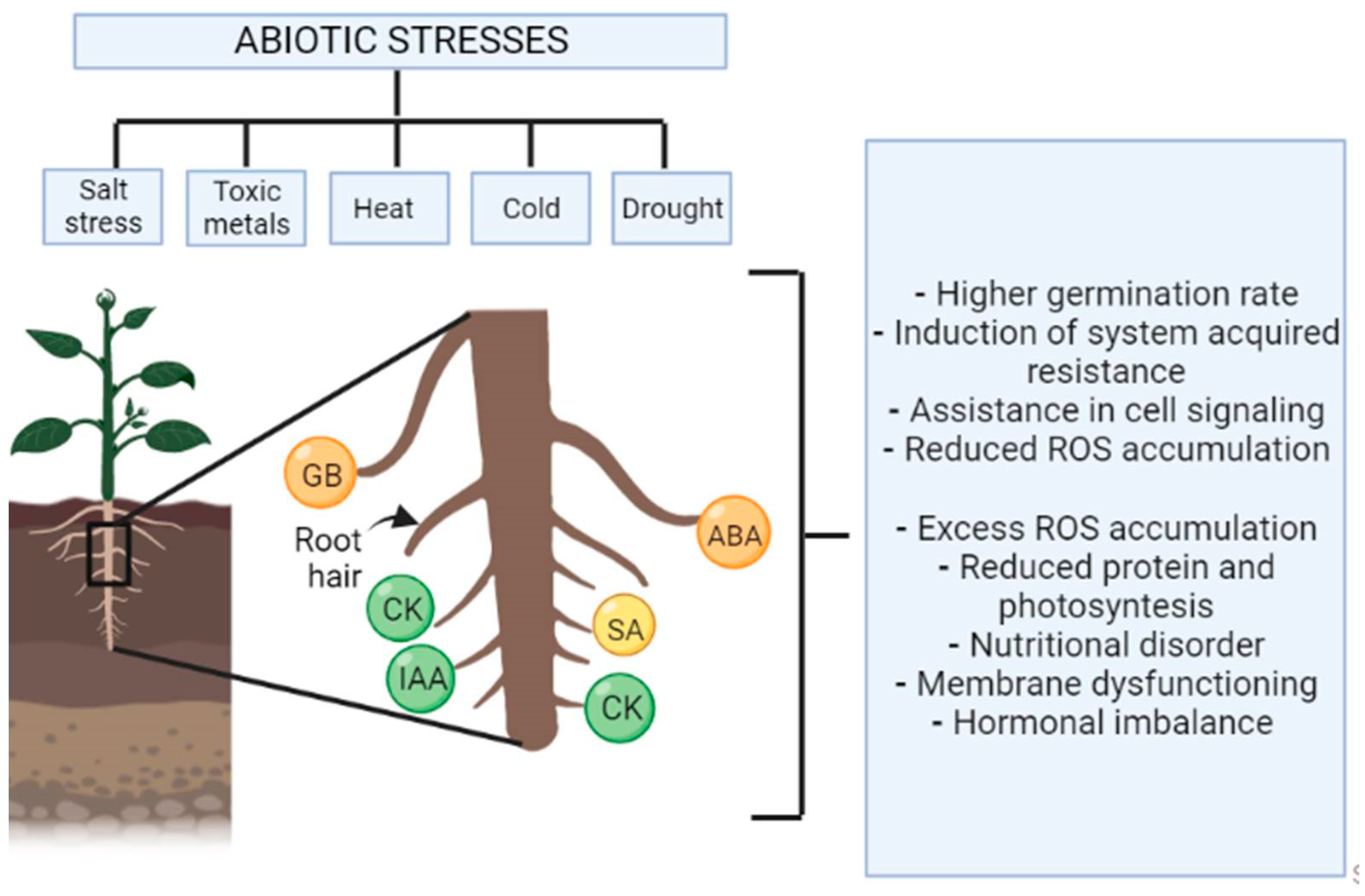 Agronomy 12 02069 g004 Agronomy 12 02069 g004