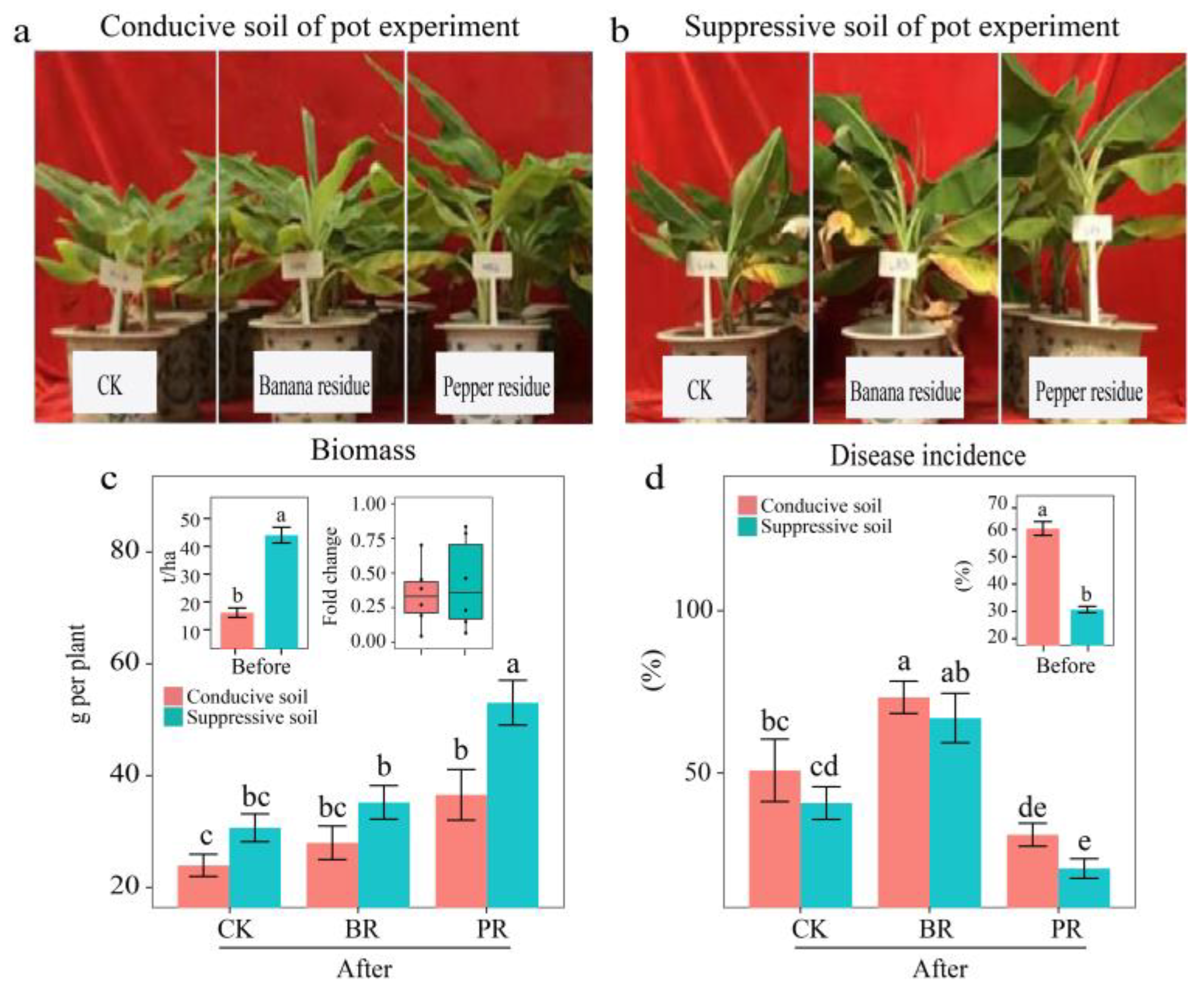 Agronomy 12 02077 g001