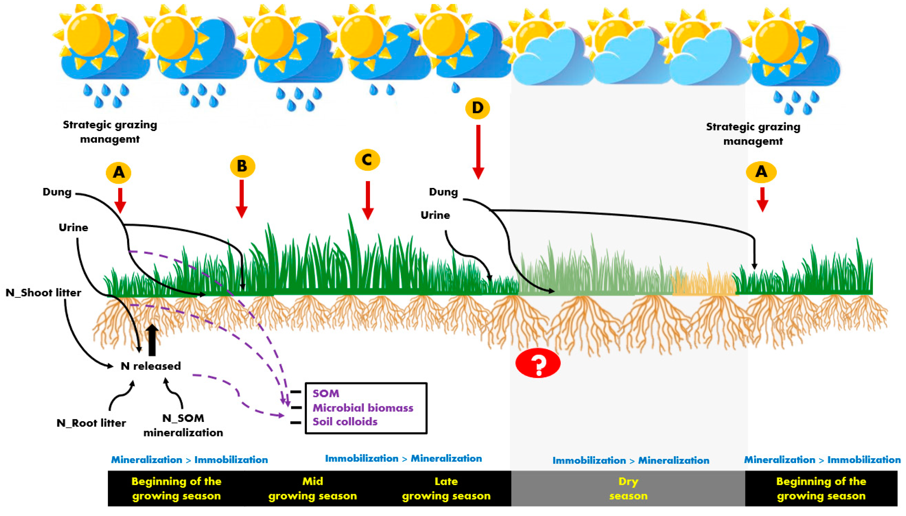 Agronomy 12 02079 g002