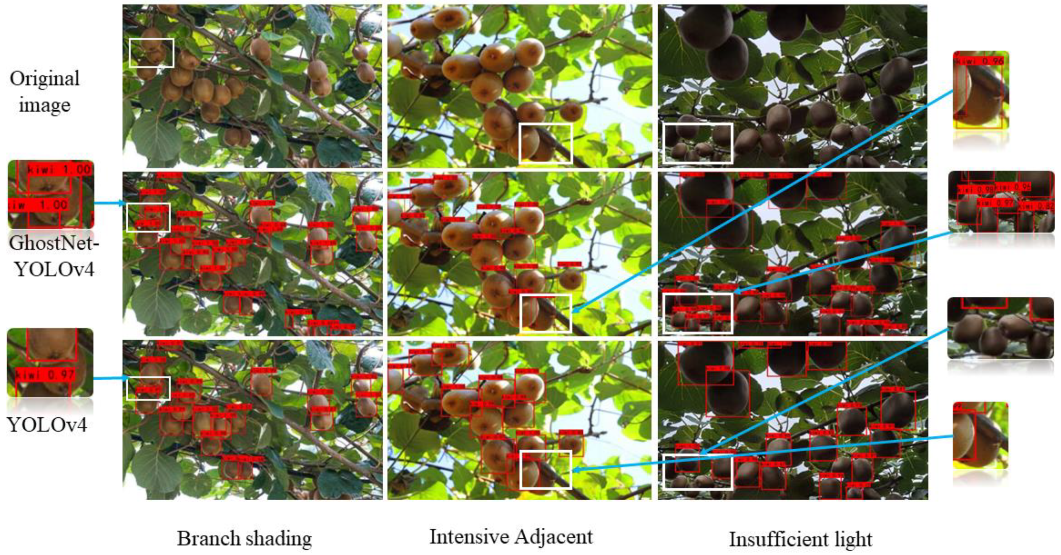 Agronomy 12 02081 g010