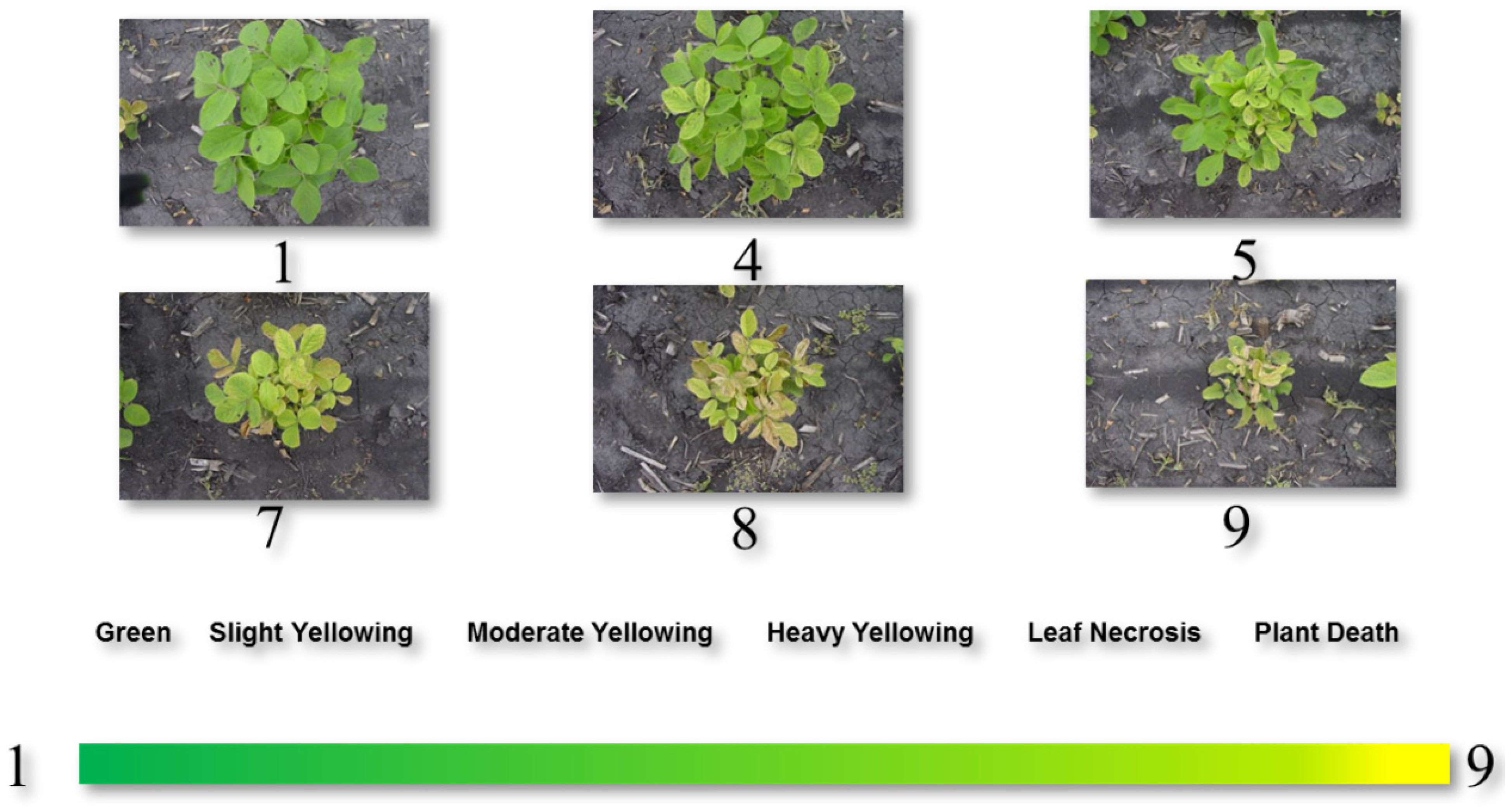 Agronomy 12 02095 g002 Agronomy 12 02095 g002