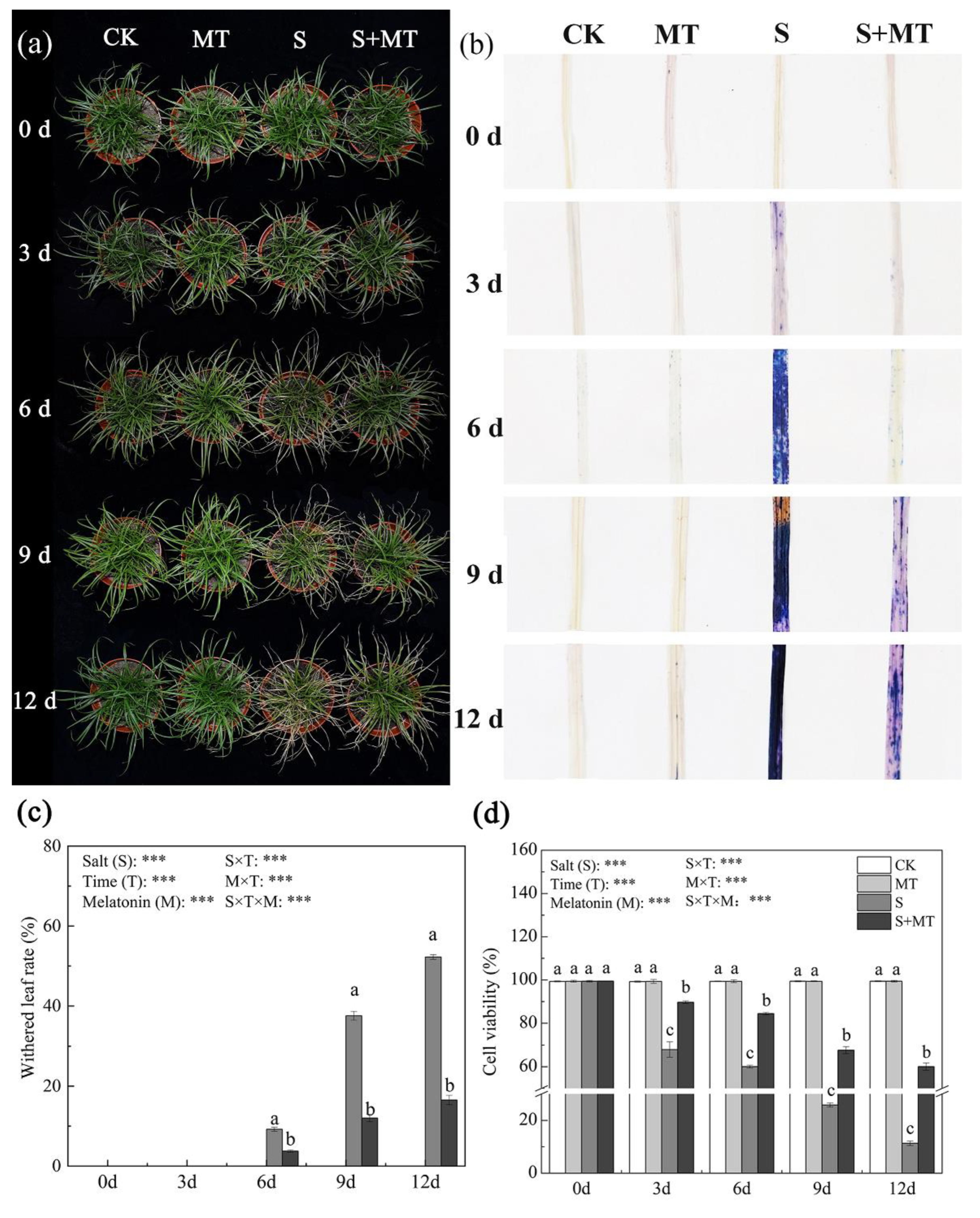 Agronomy 12 02098 g001