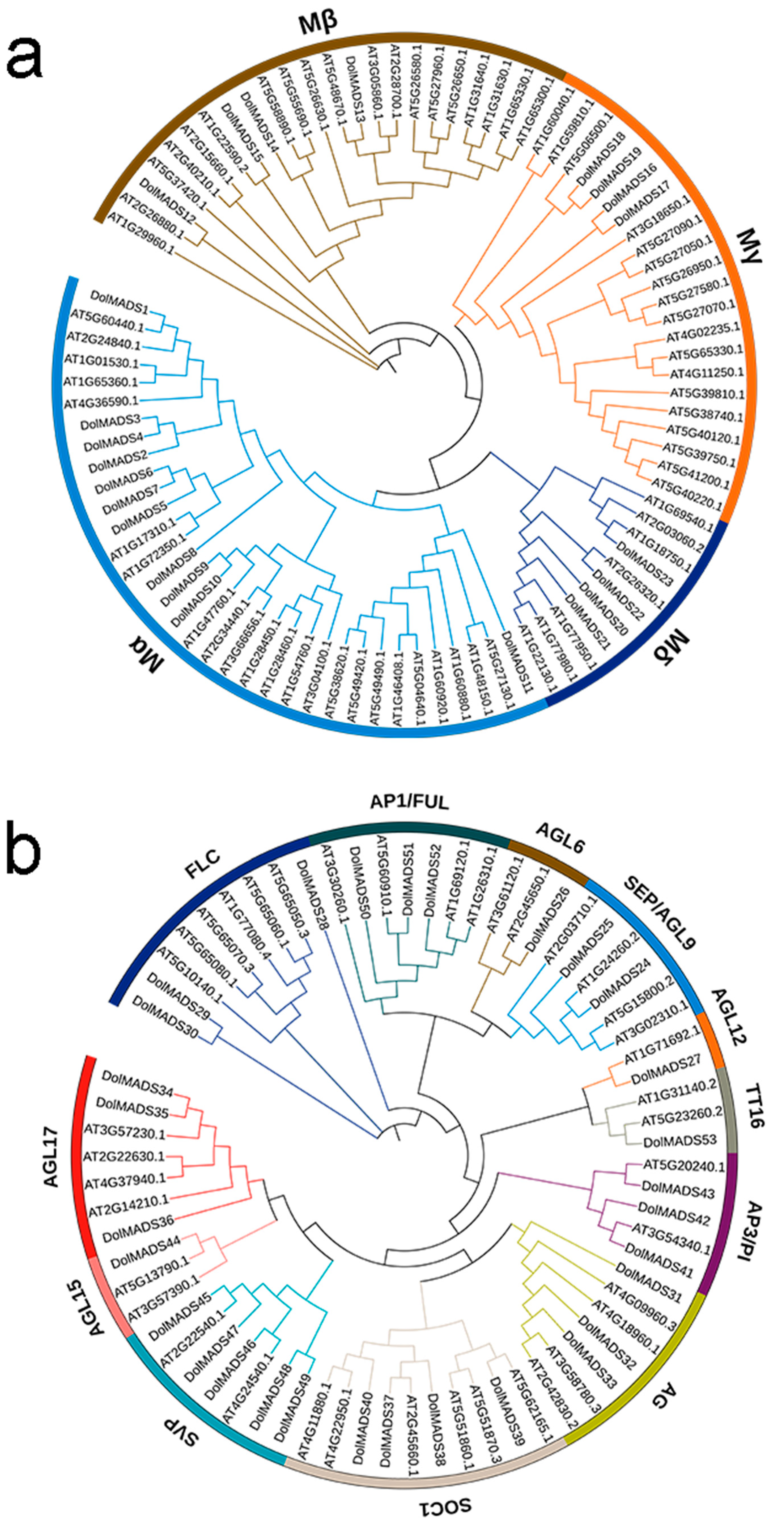 Agronomy 12 02100 g001