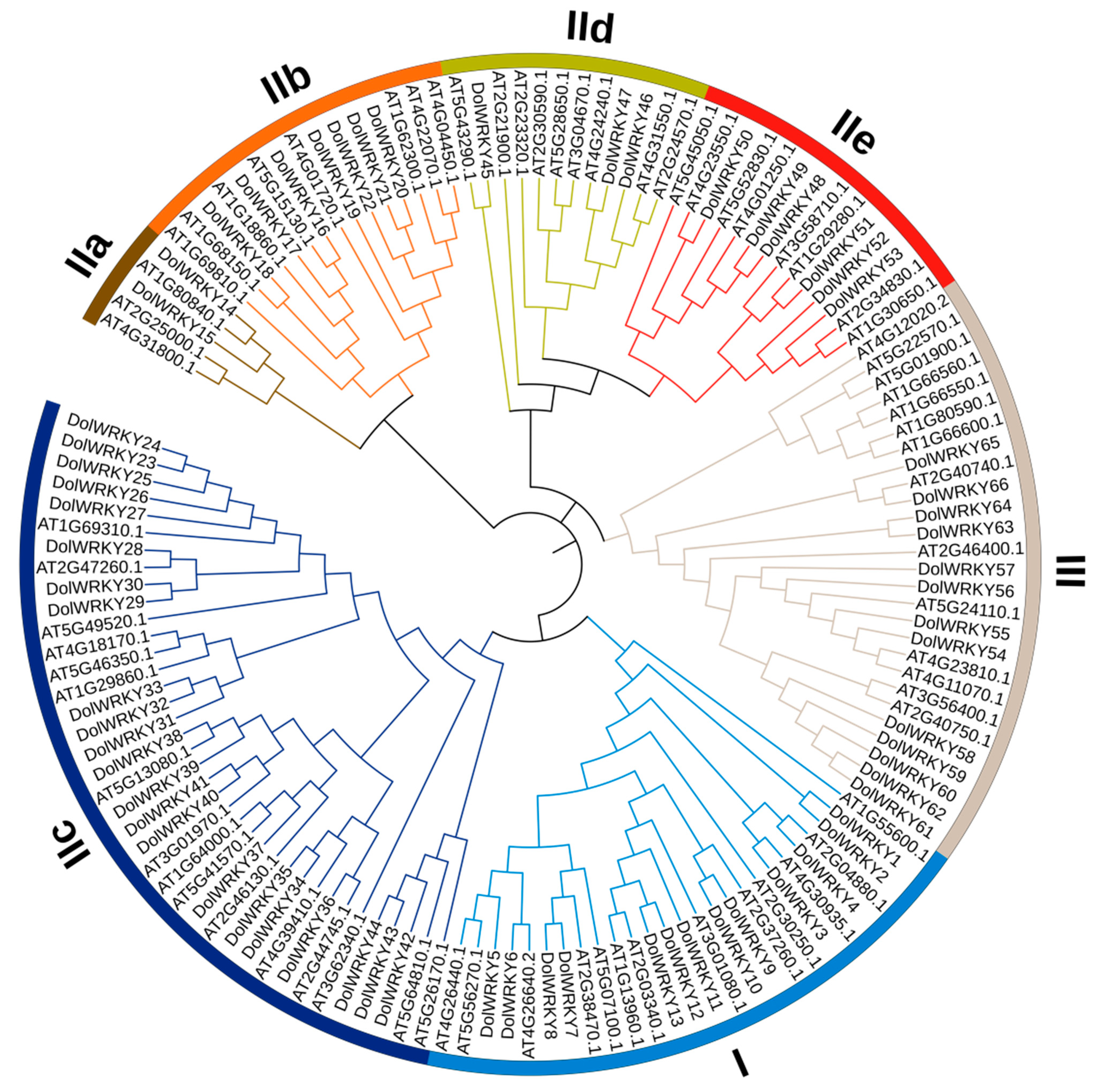 Agronomy 12 02100 g005