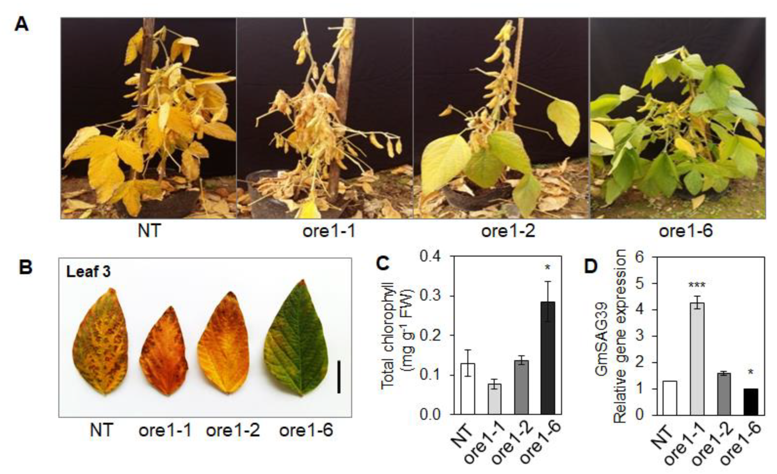 Agronomy 12 02110 g007