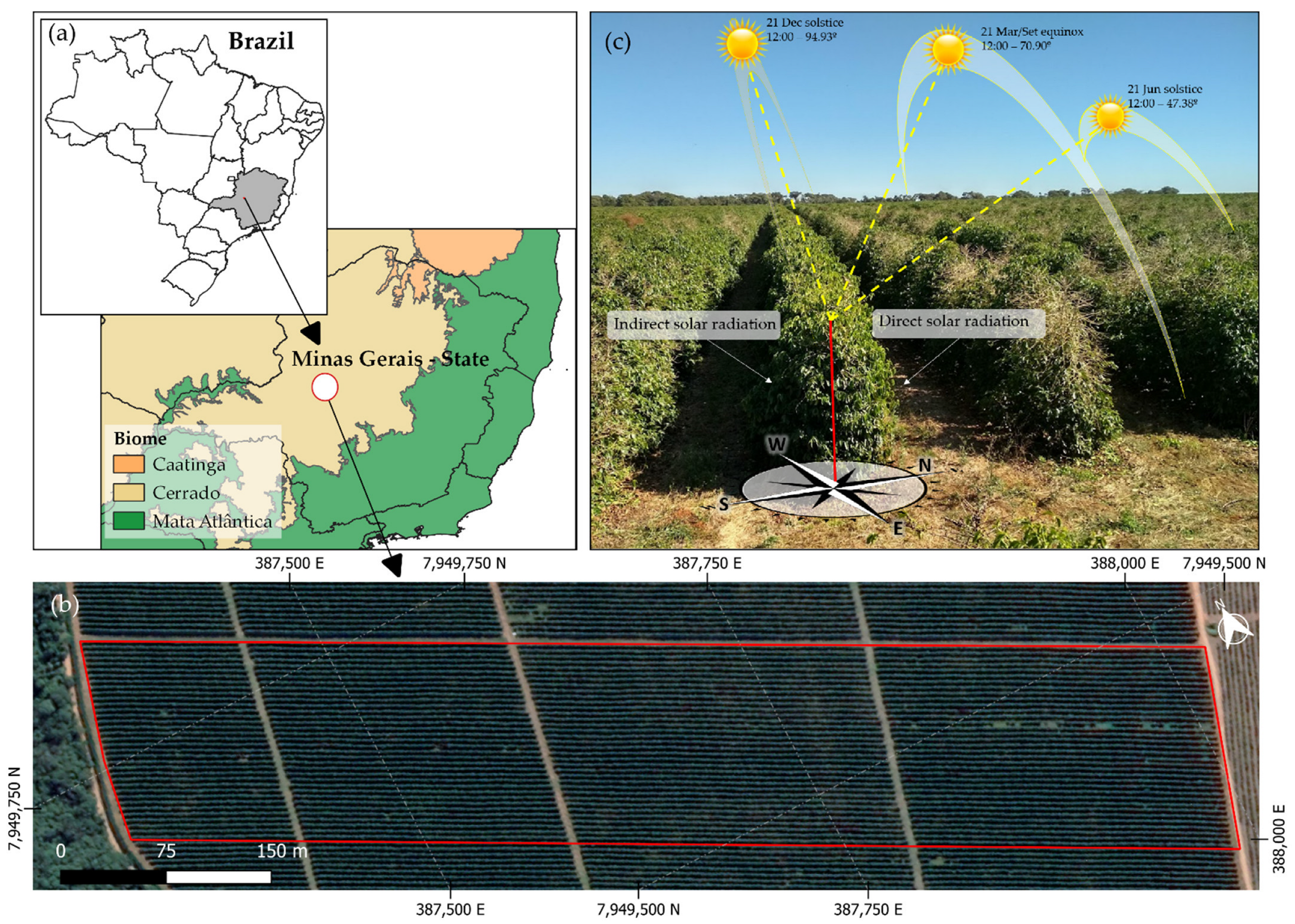 Agronomy 12 02118 g001
