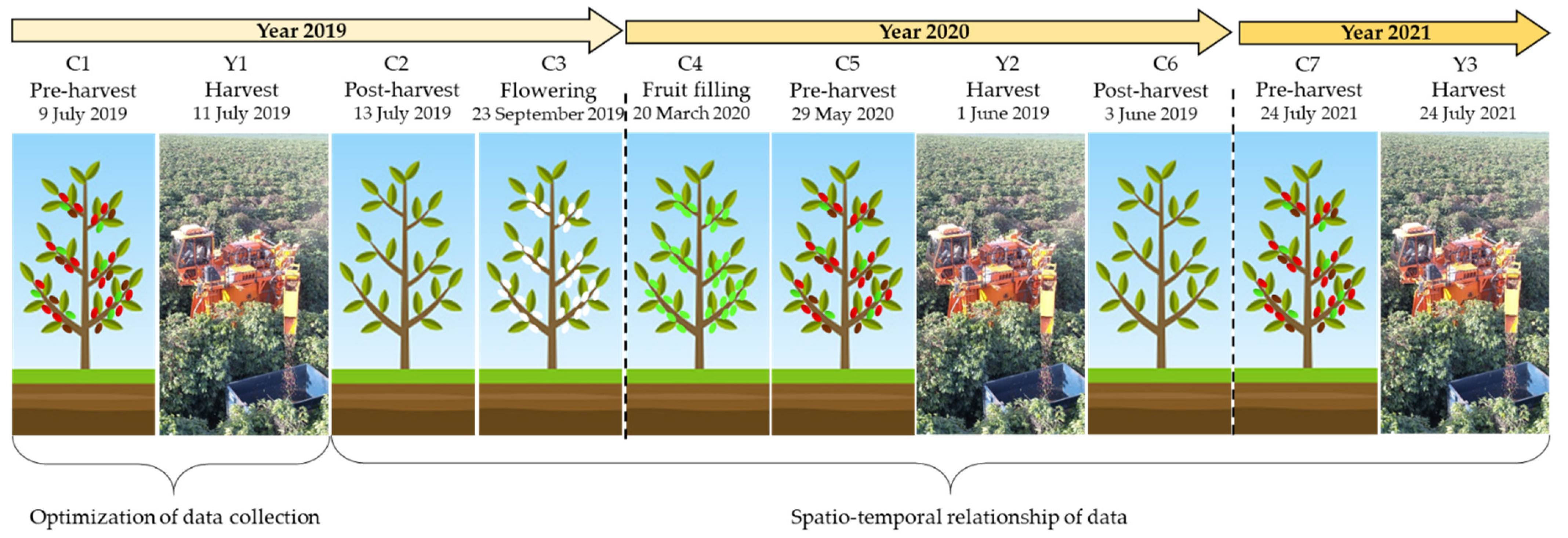 Agronomy 12 02118 g003