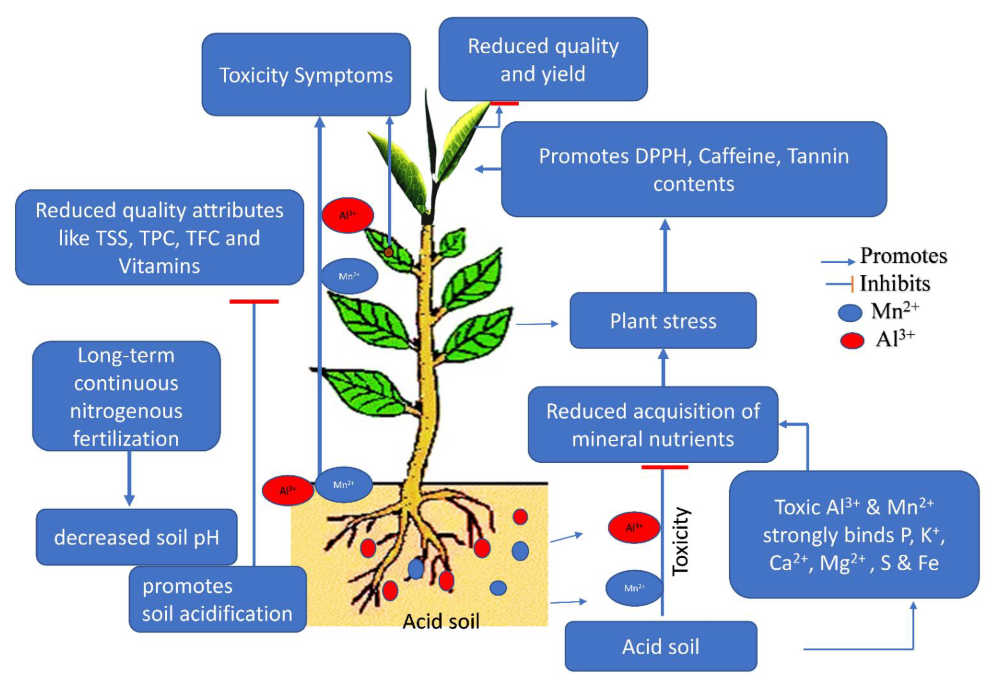 Agronomy 12 02128 g006 550