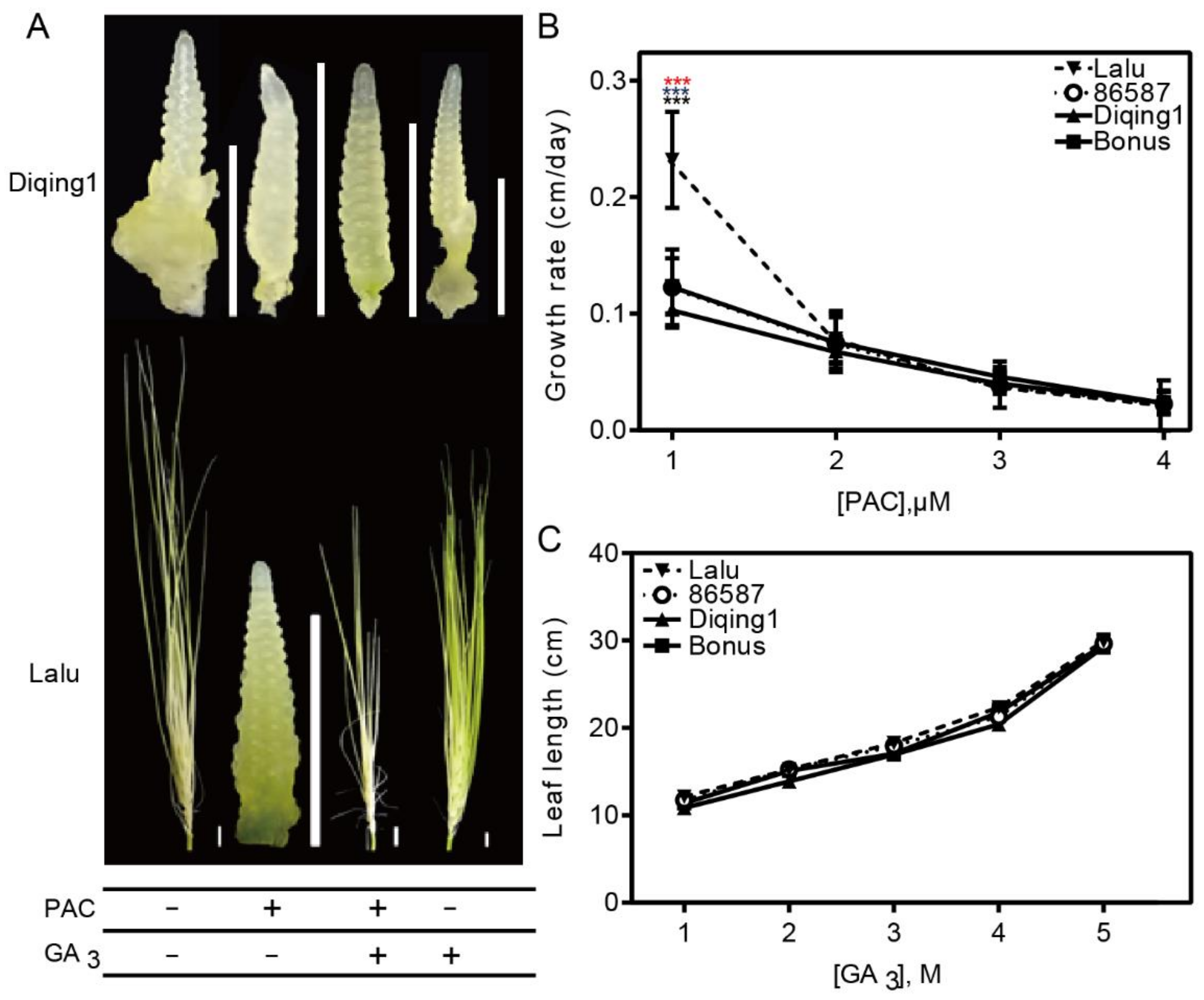 Agronomy 12 02137 g004