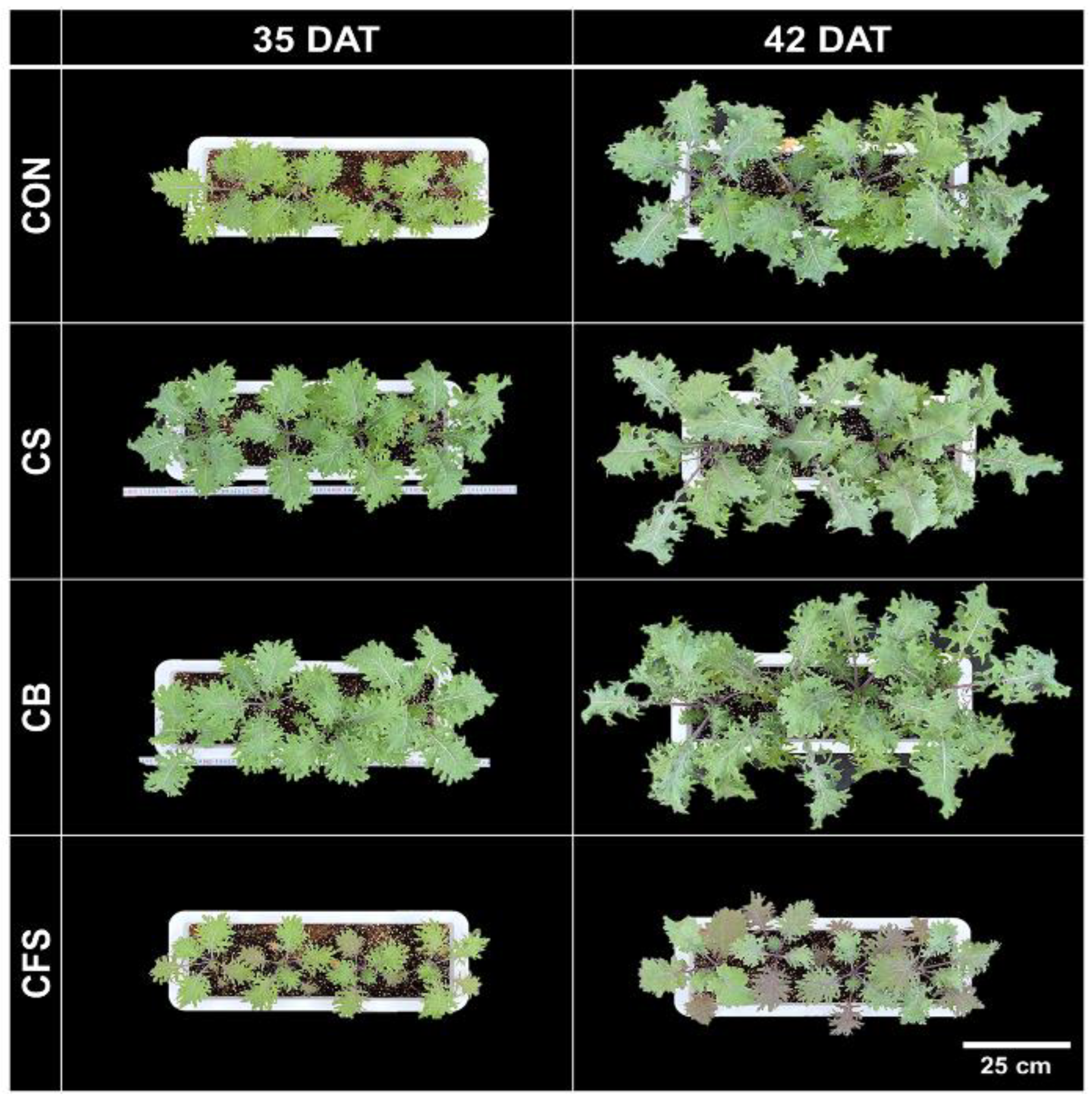 Agronomy 12 02138 g002 550