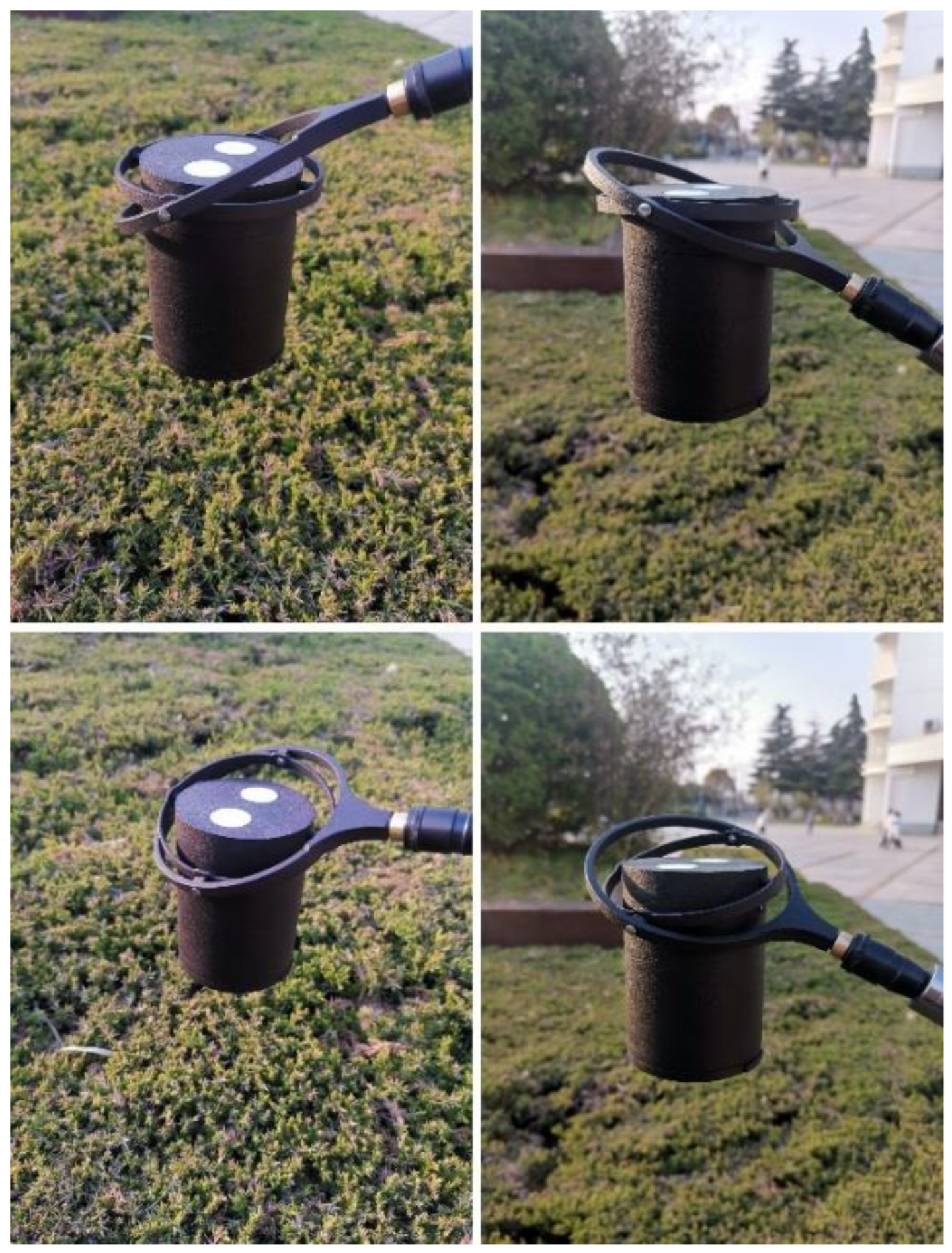 Agronomy 12 02139 g018 Agronomy 12 02139 g018