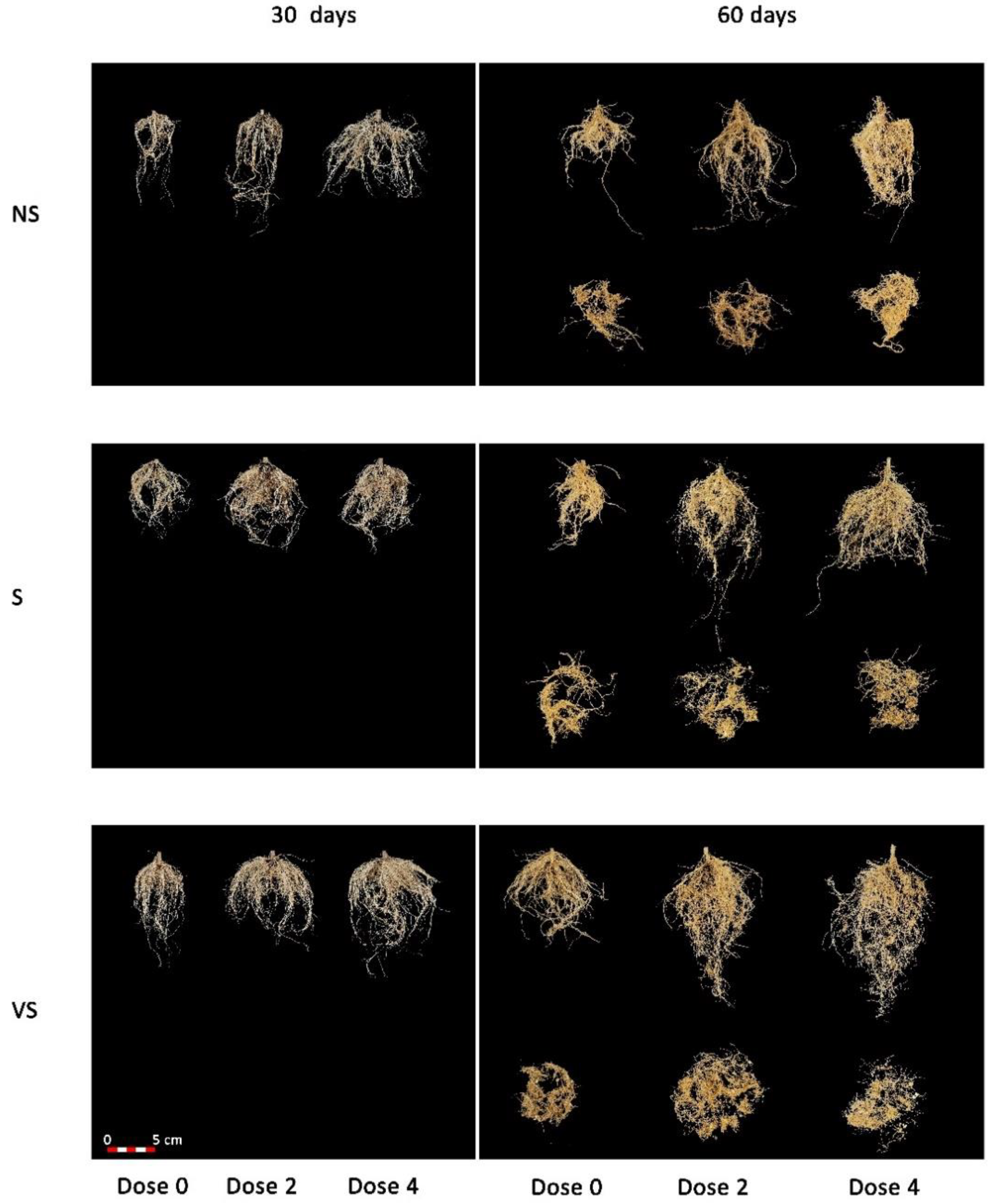 Agronomy 12 02142 g002