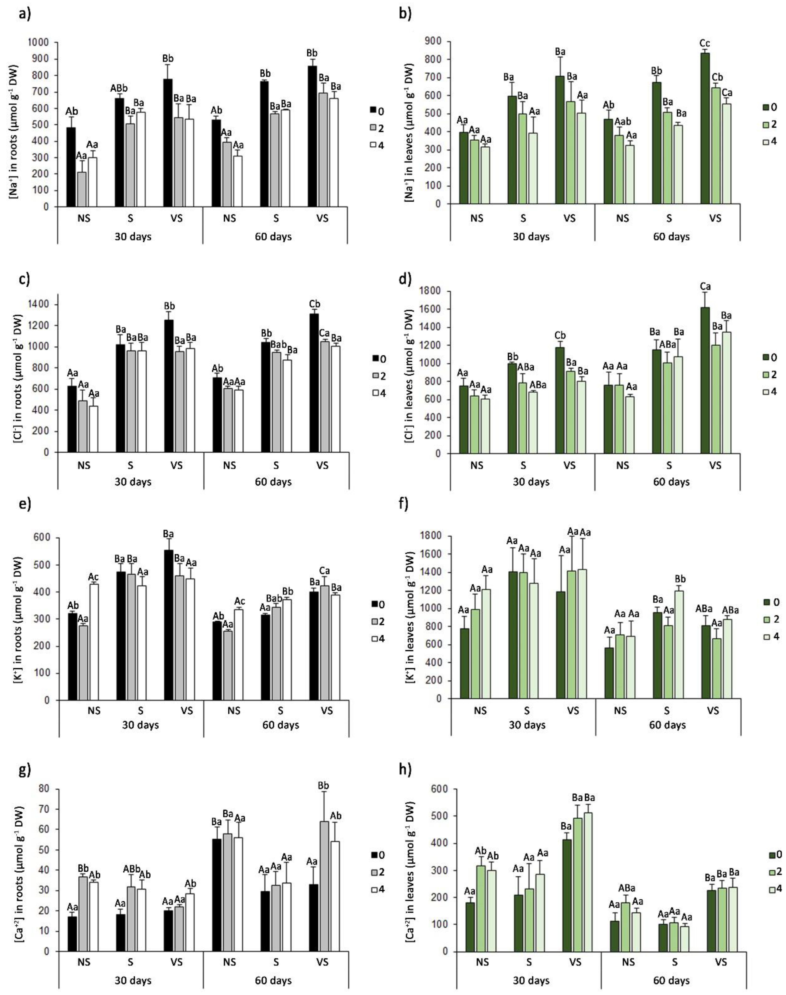 Agronomy 12 02142 g004