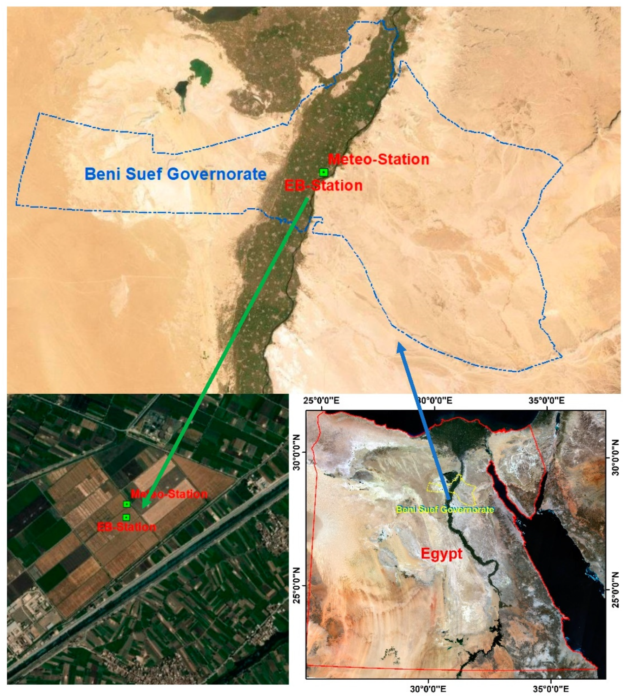 Agronomy 12 02143 g001