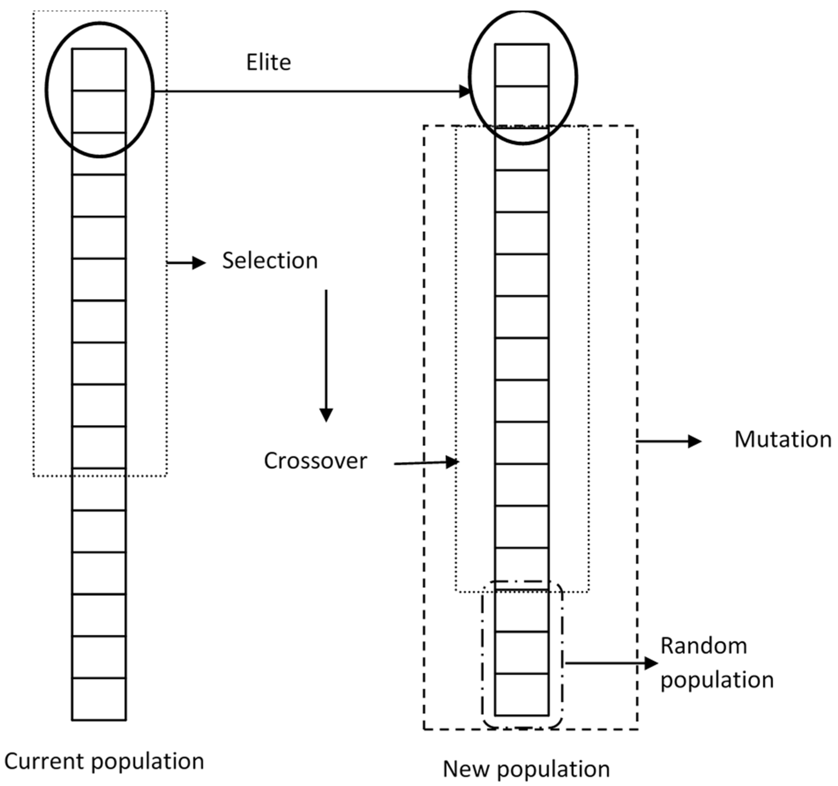 Agronomy 12 02145 g004