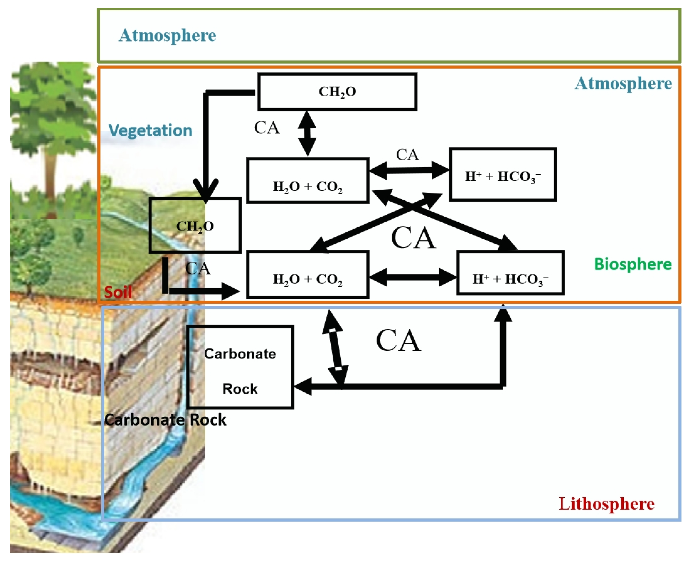 Agronomy 12 02147 g003 550