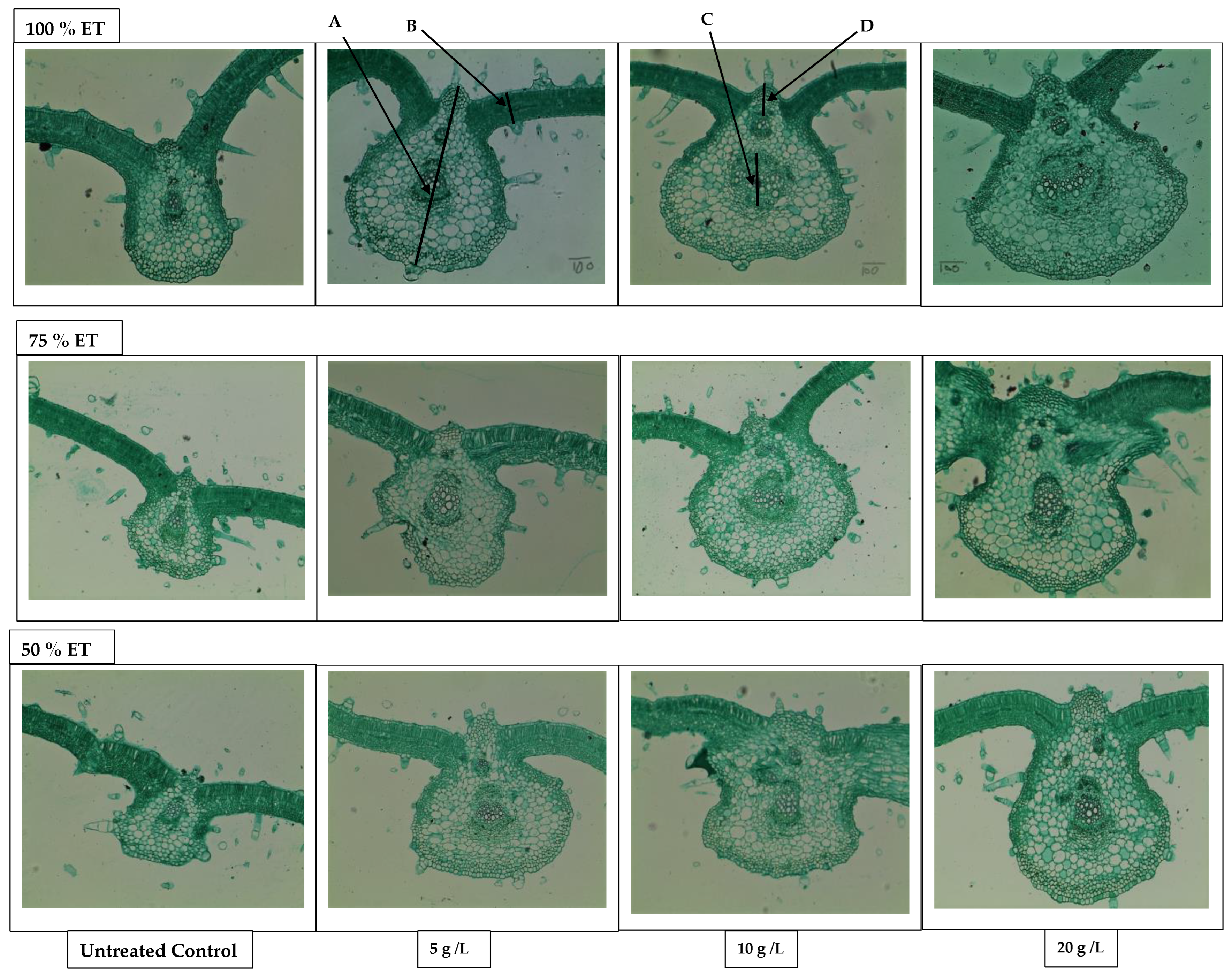 Agronomy 12 02155 g002 550